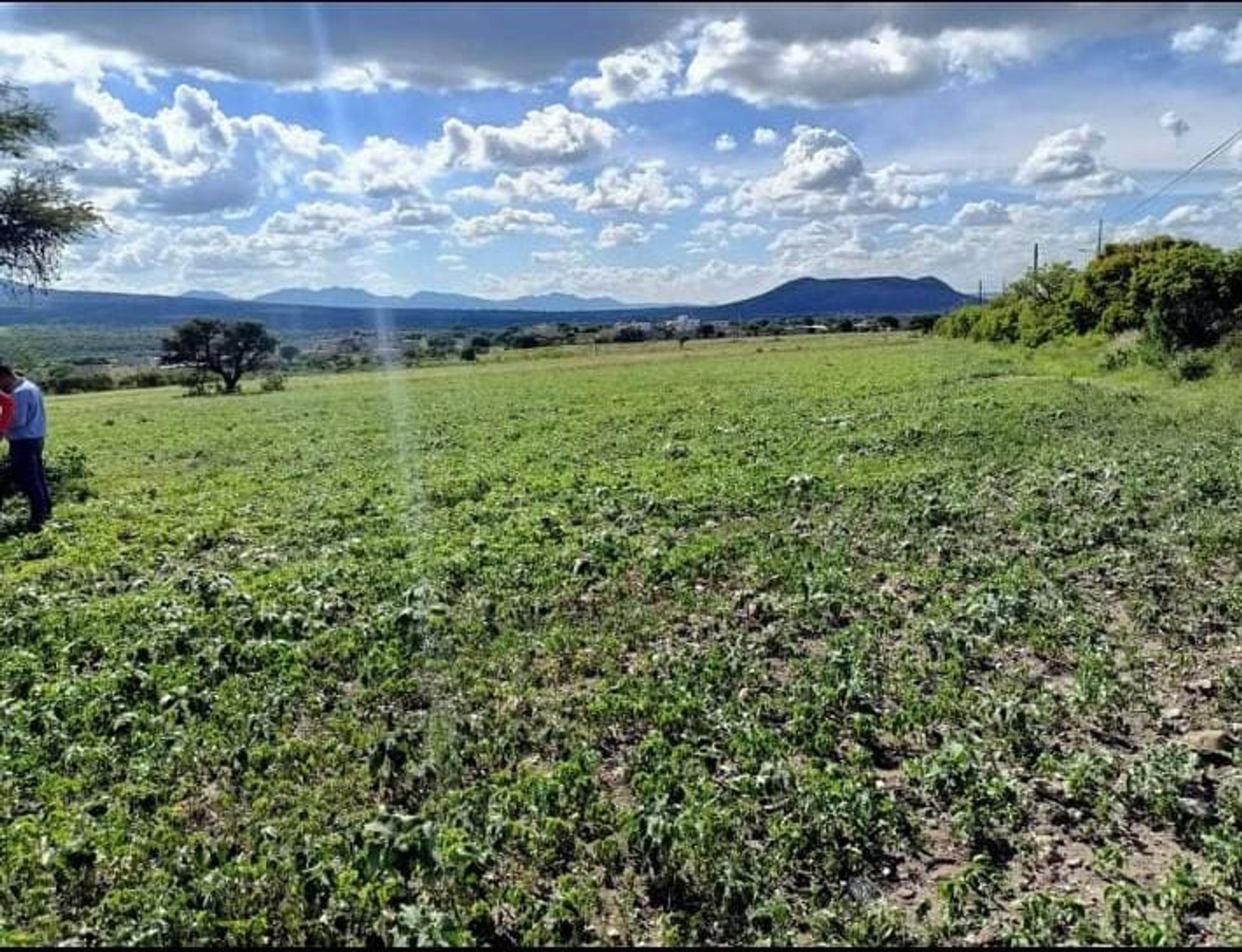 Land in Buenavista, Querétaro 12686775