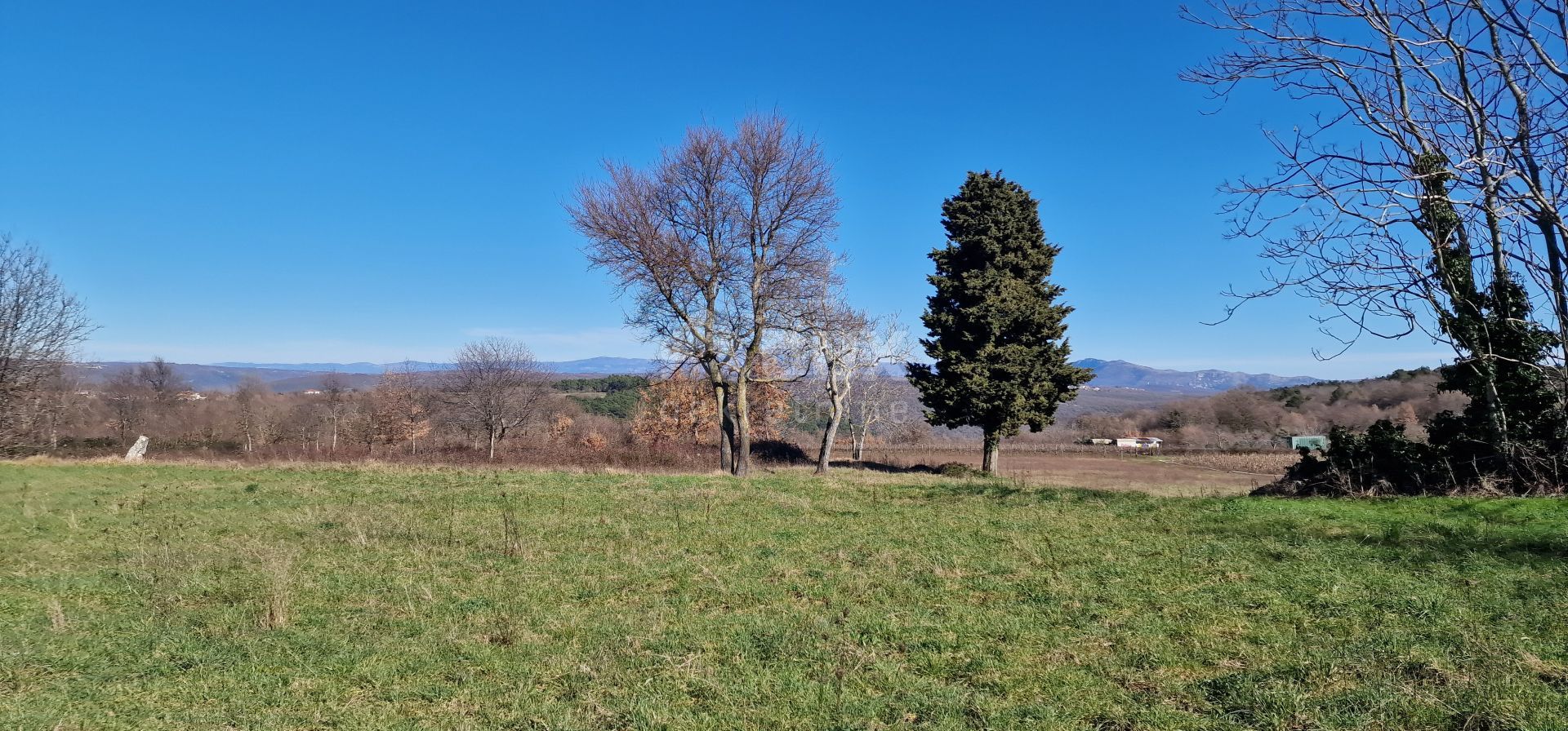 Land in Barban, Istria County 12686884