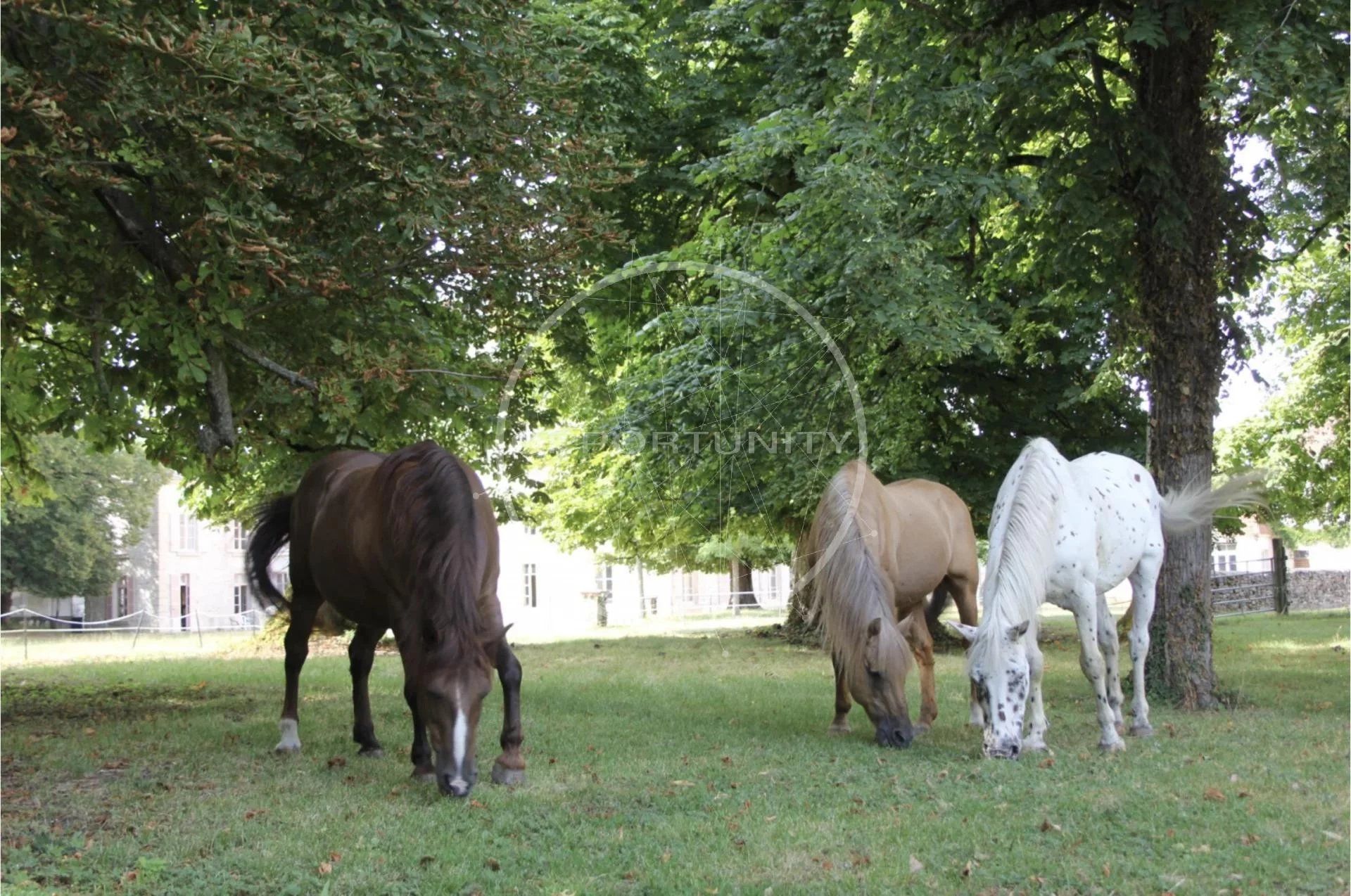 Casa nel L'Isle-sur-Serein, Yonne 12687703