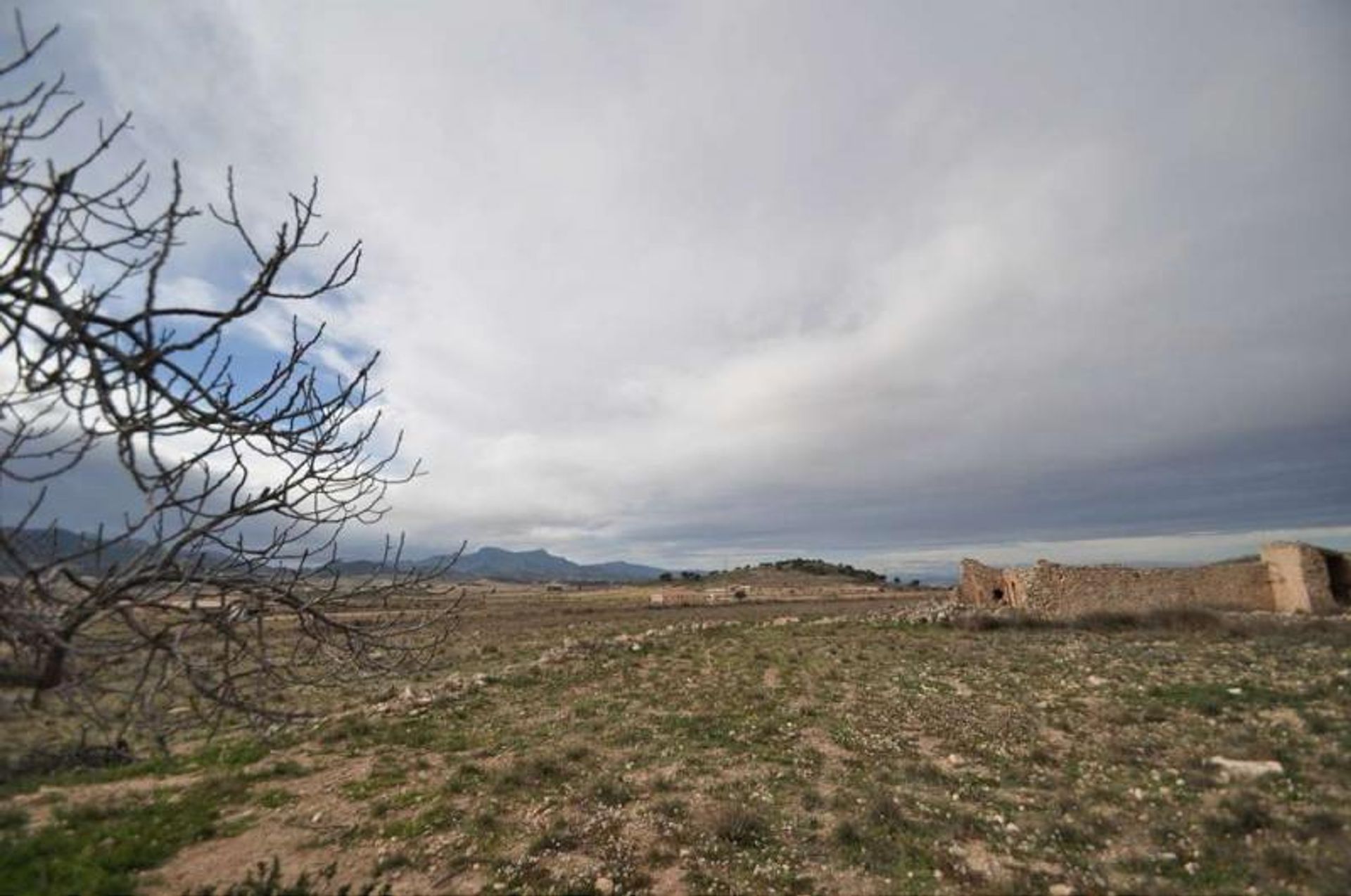 Andet i Pinoso, Valencia 12688818