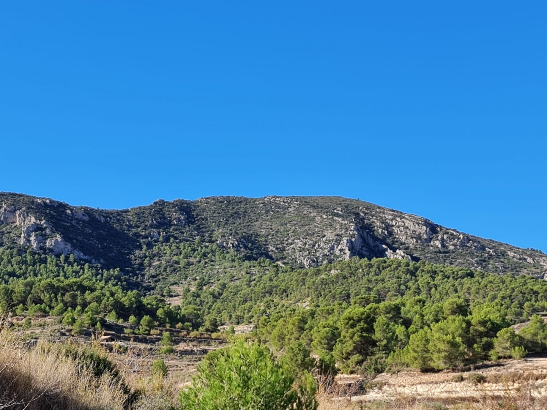 Talo sisään la Romana, Comunidad Valenciana 12689402