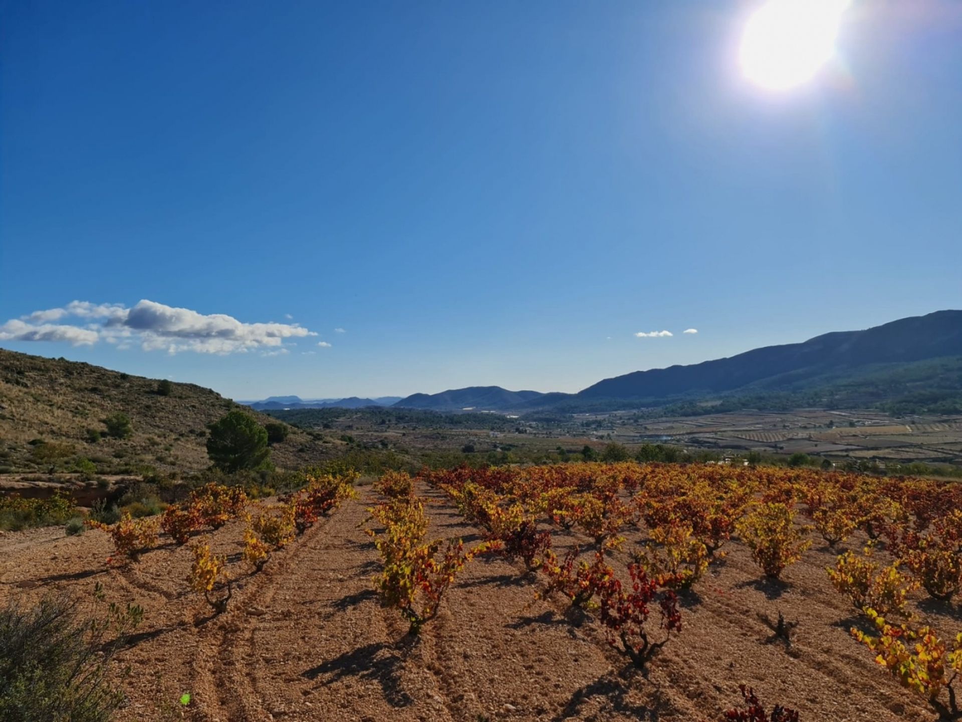 Casa nel la Romana, Comunidad Valenciana 12689404