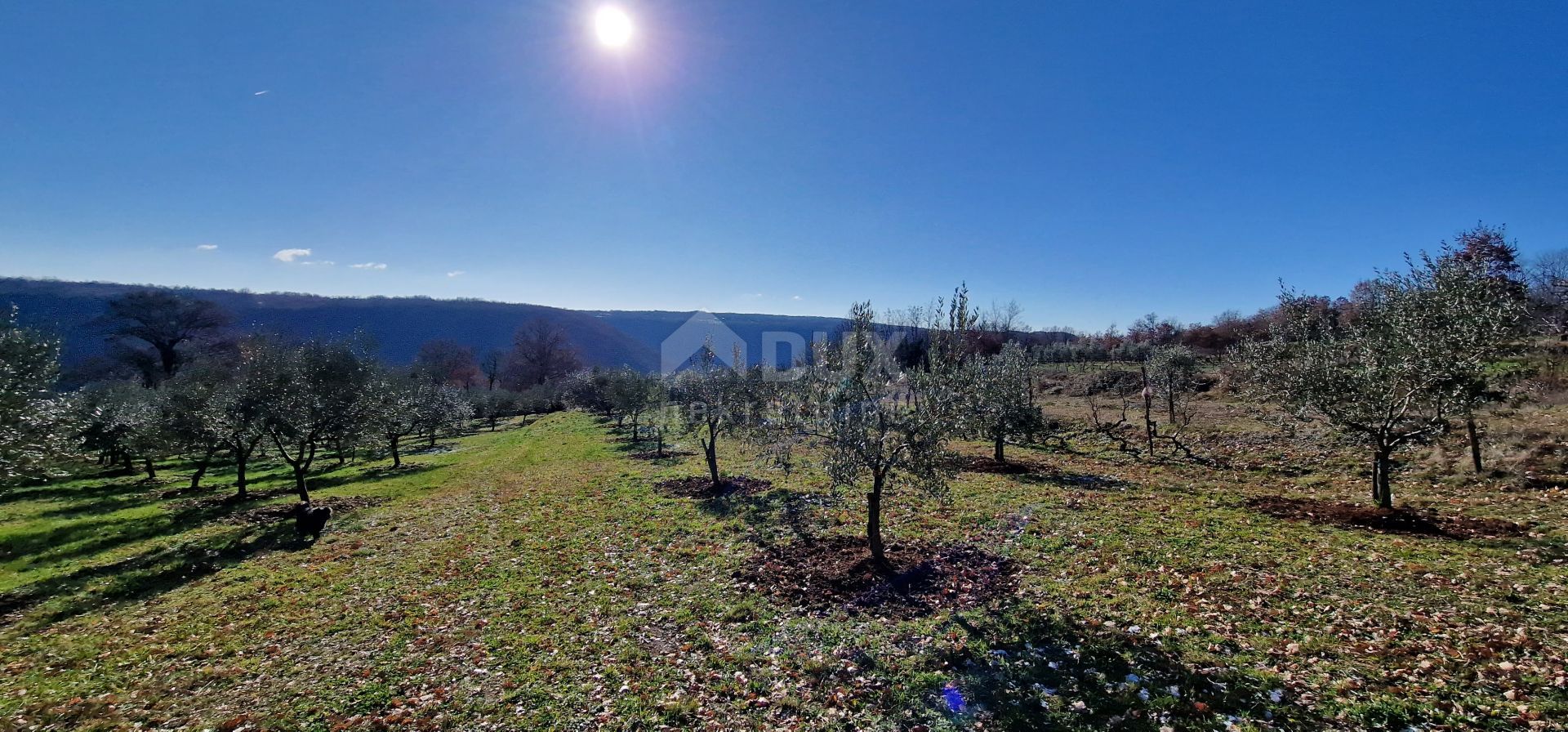 Tierra en Labin, Istria County 12689833