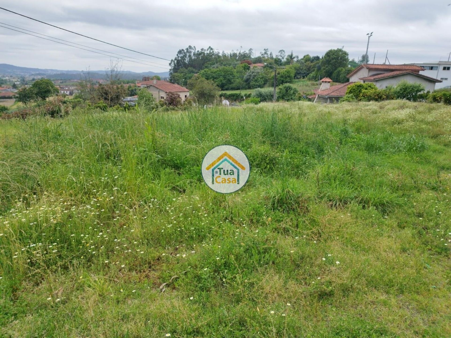 Land in , Braga 12690605