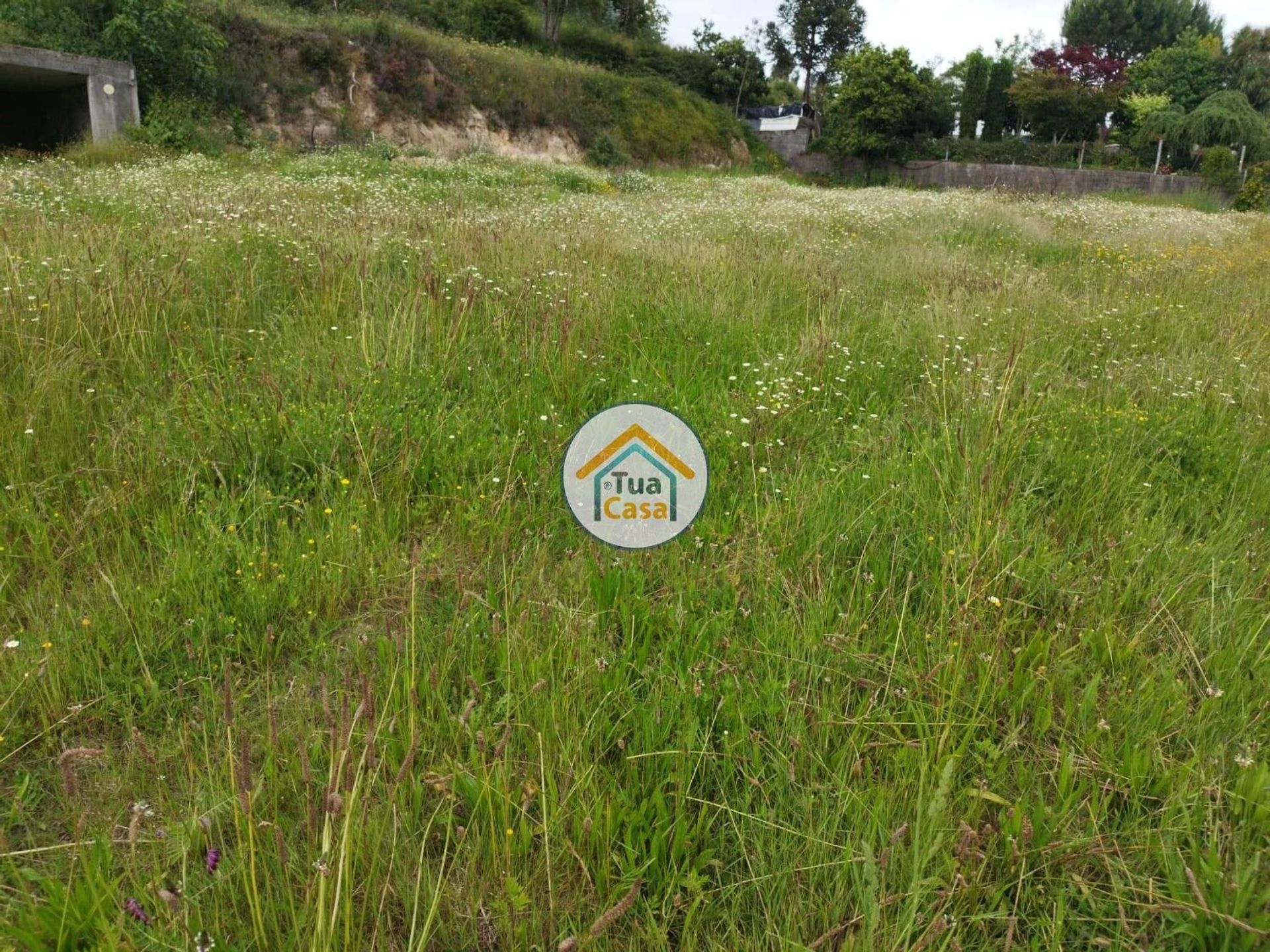 Land in , Braga 12690605