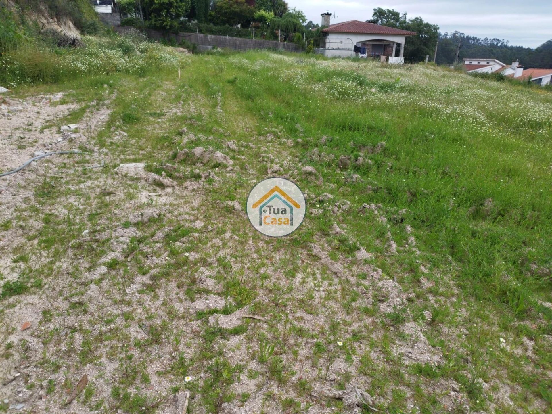 Land in , Braga 12690605