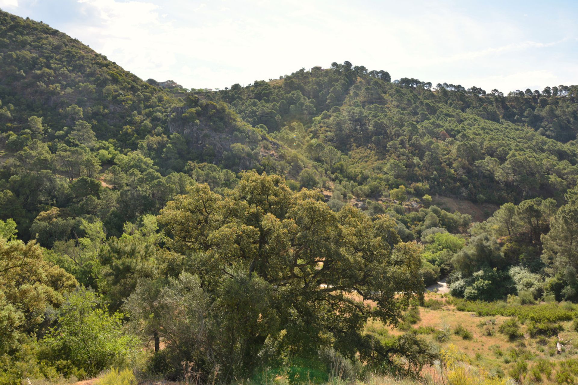 Tanah di Benahavís, Andalusia 12692224