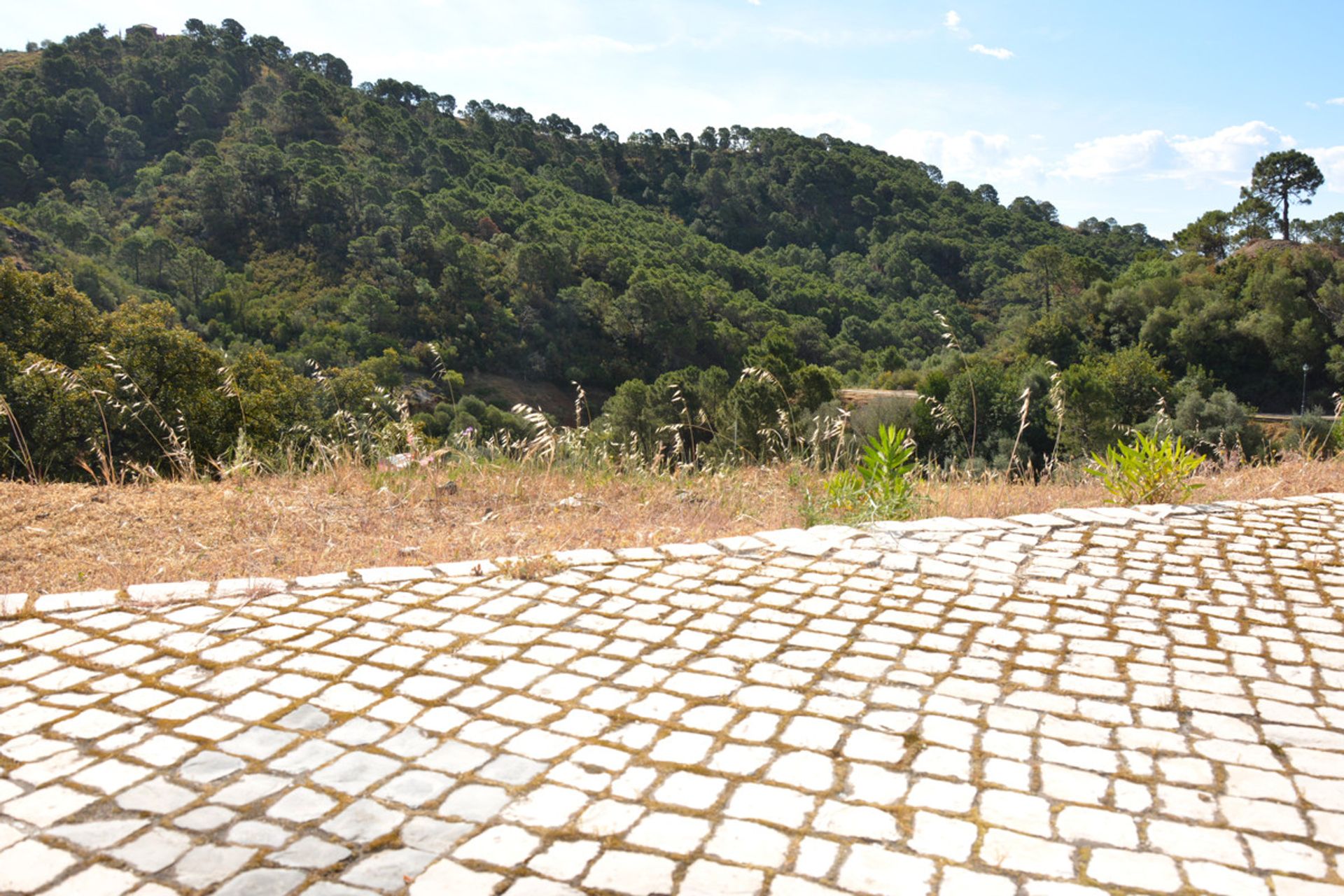 Tanah di Benahavís, Andalusia 12692224