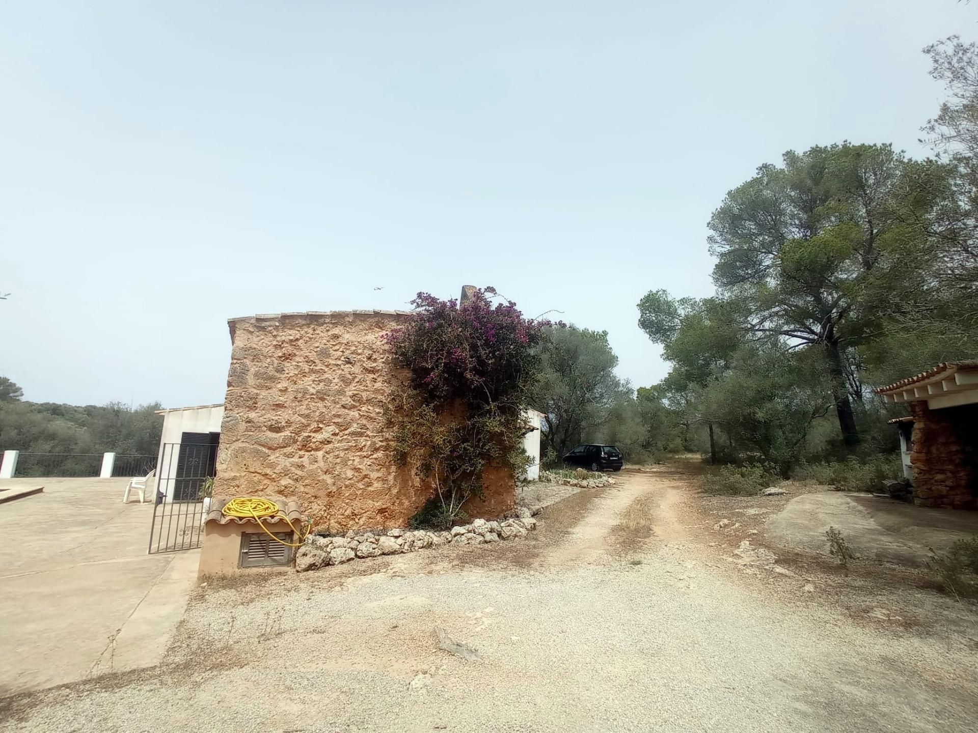 σπίτι σε Palma, Illes Balears 12692598