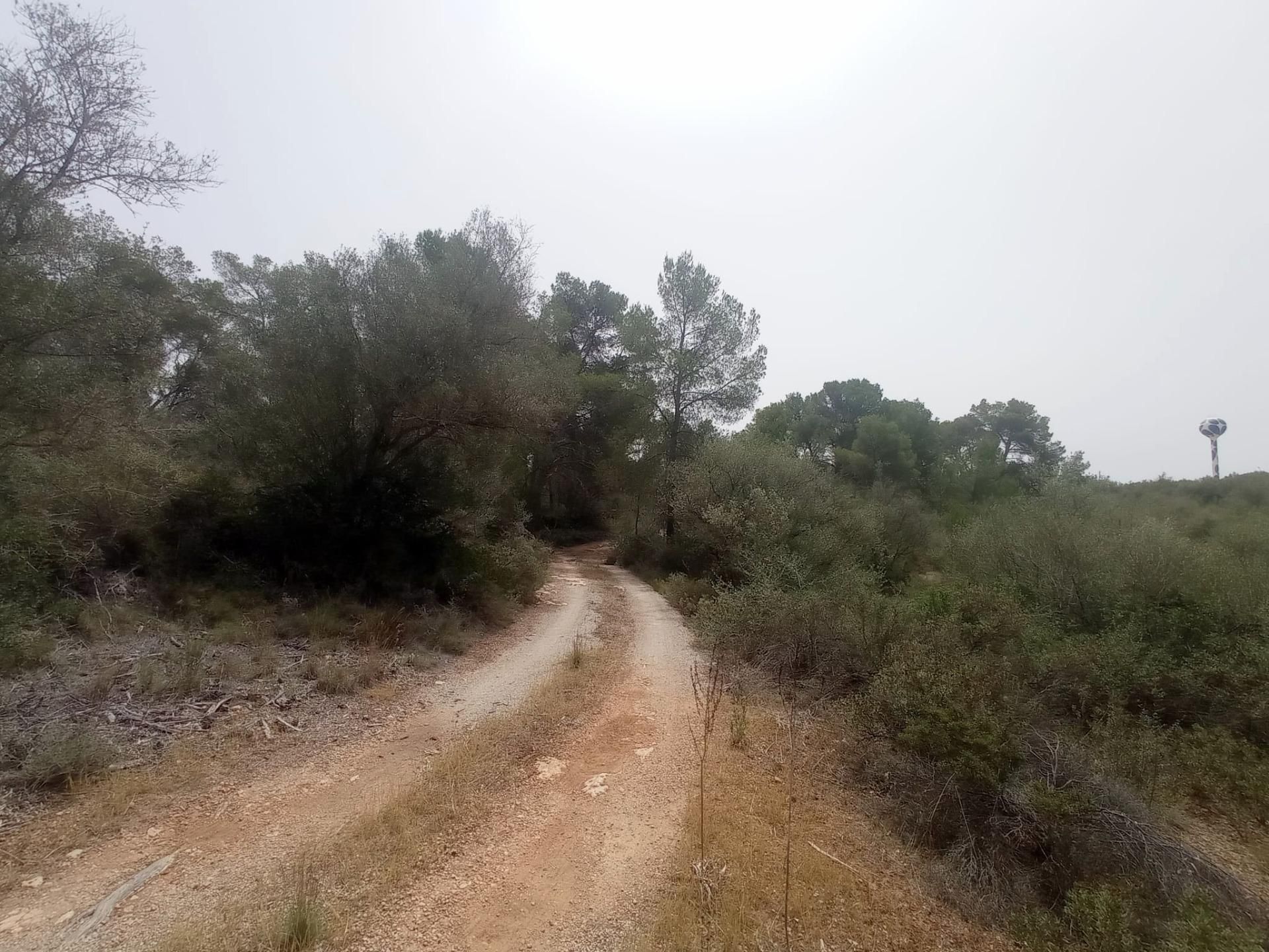 σπίτι σε Palma, Illes Balears 12692598