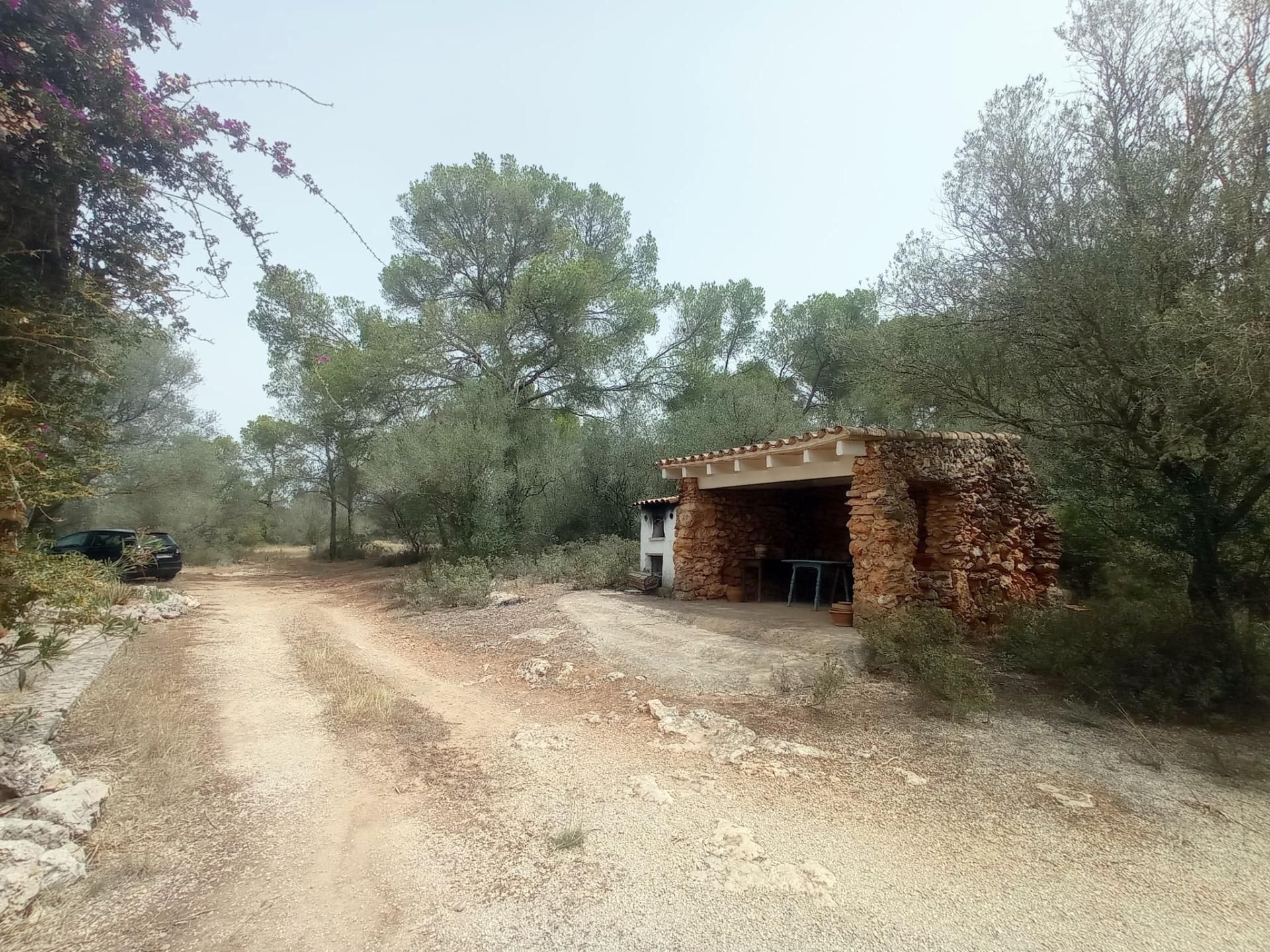 σπίτι σε Palma, Illes Balears 12692598