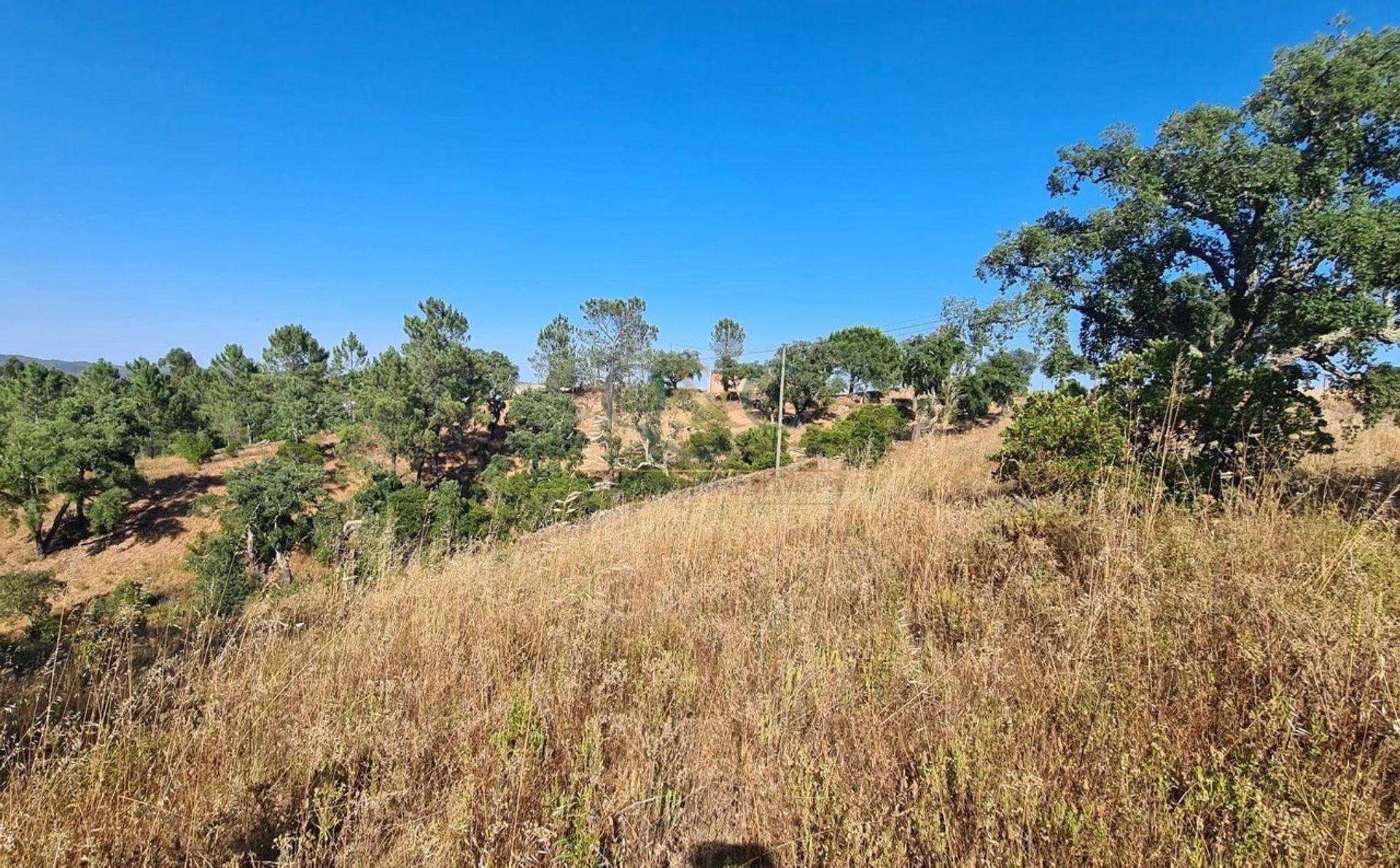 Tierra en Sao Brás de Alportel, Faraón 12695408