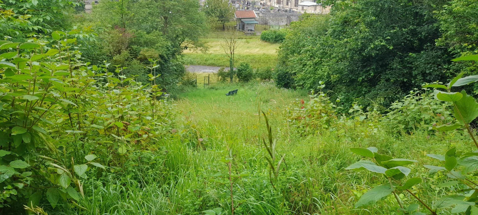 Terre dans Fains-Véel, Meuse 12697139