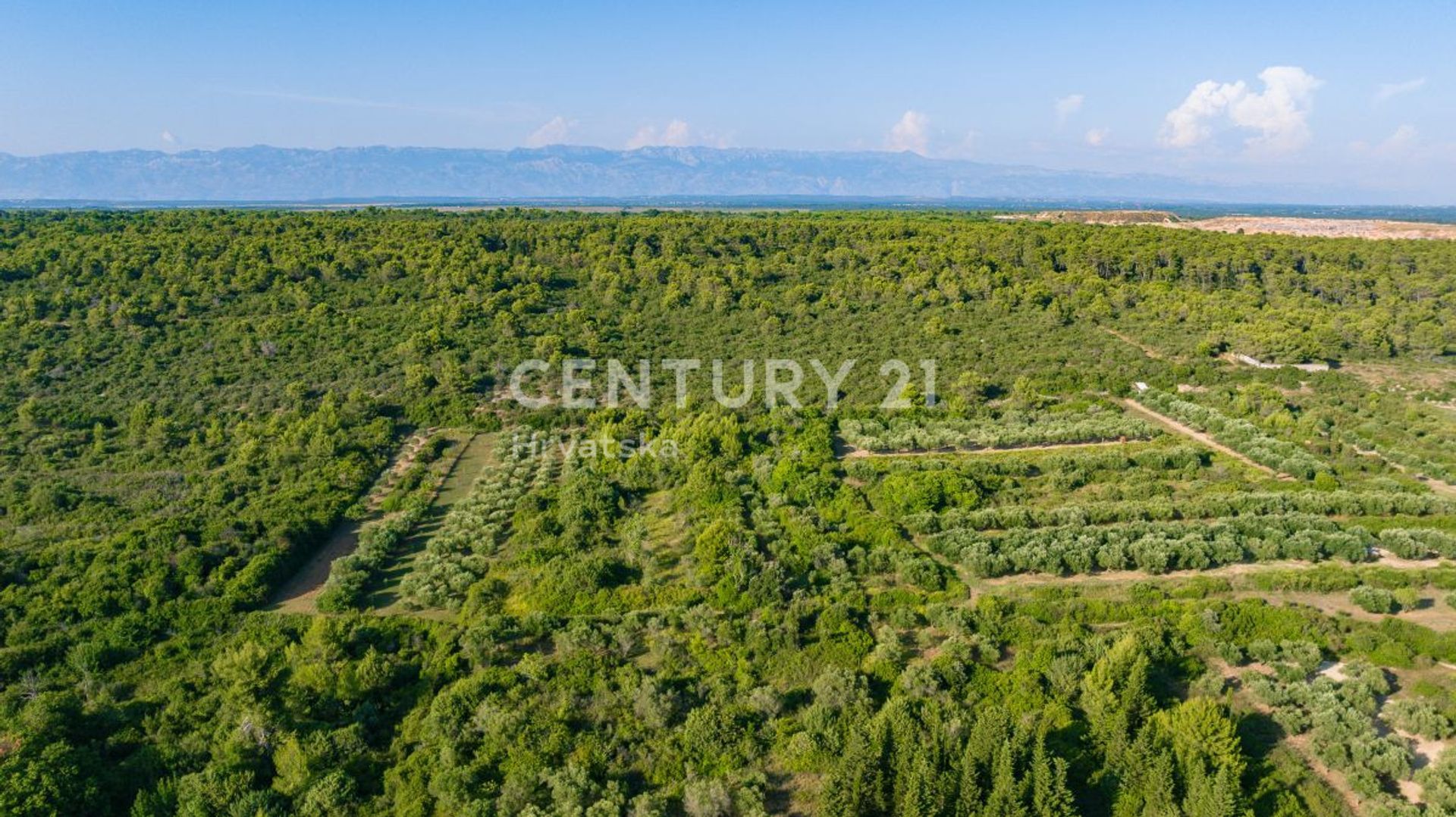 Terre dans Zadar, Zadar County 12698100