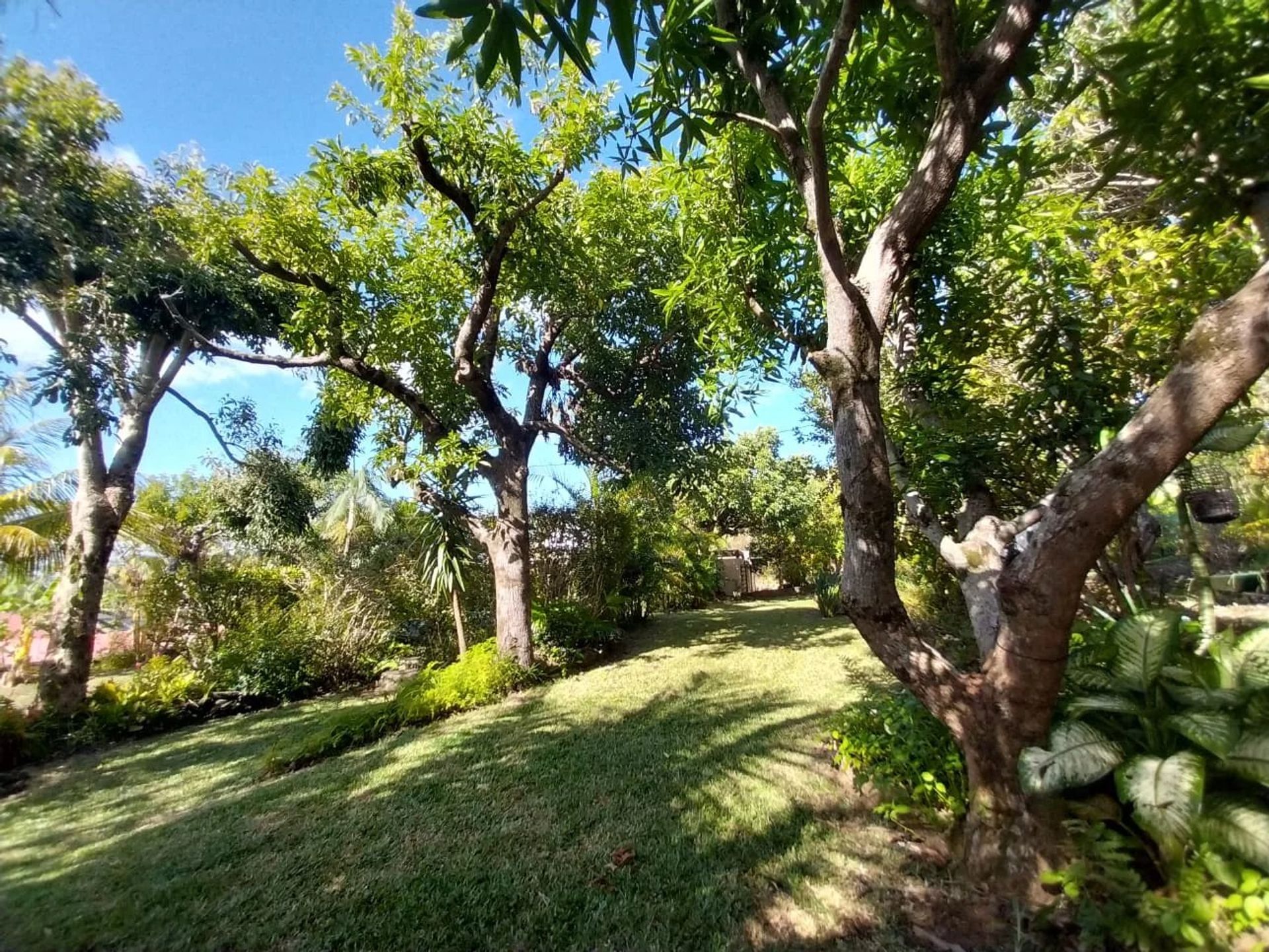 Rumah di Saint-Joseph, La Réunion 12698807