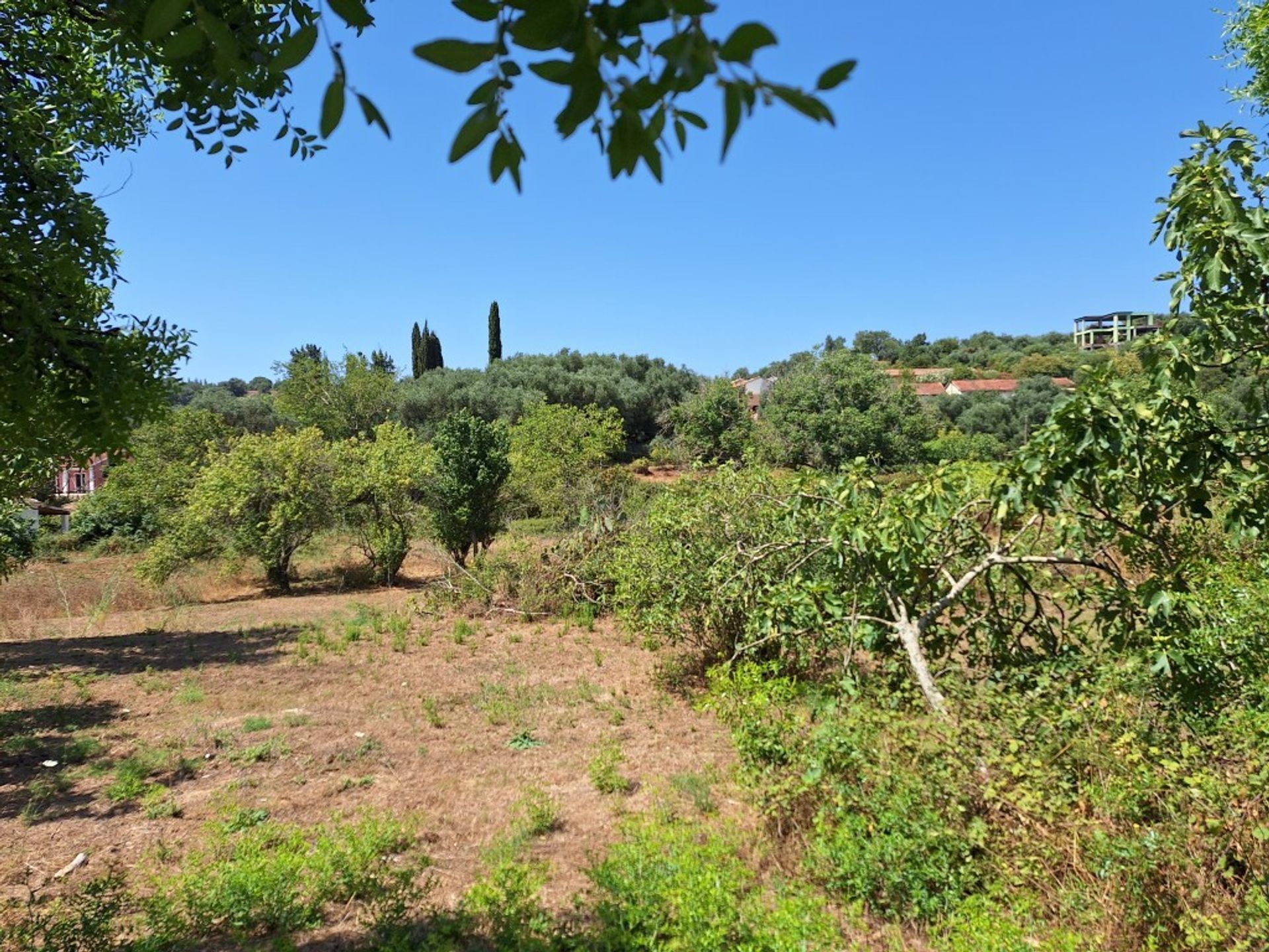 Terre dans Agios Vlasios, Ionia Nisia 12698932