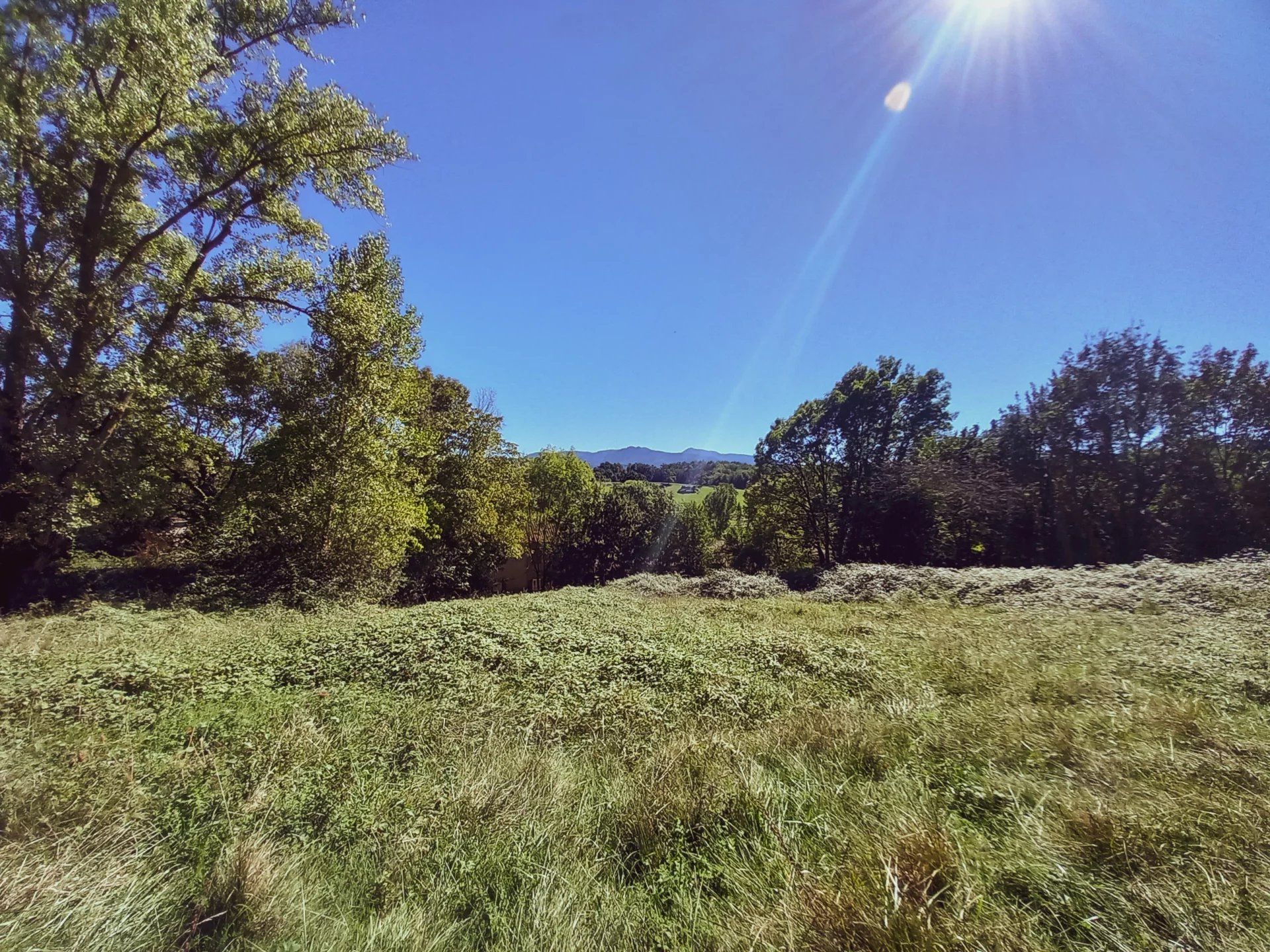 Terre dans Saint Gaudens, Occitanie 12699876