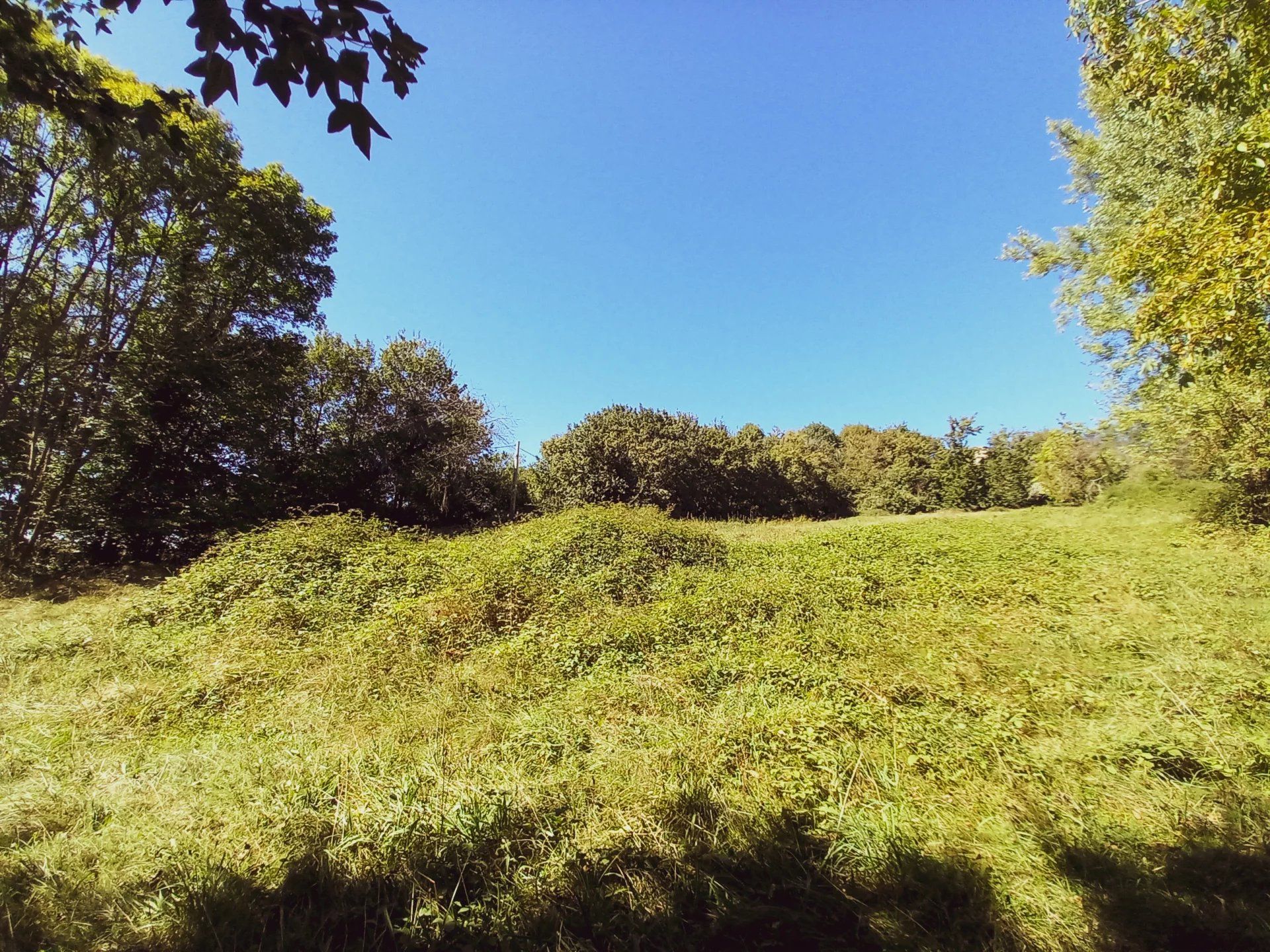 Terre dans Saint Gaudens, Occitanie 12699876