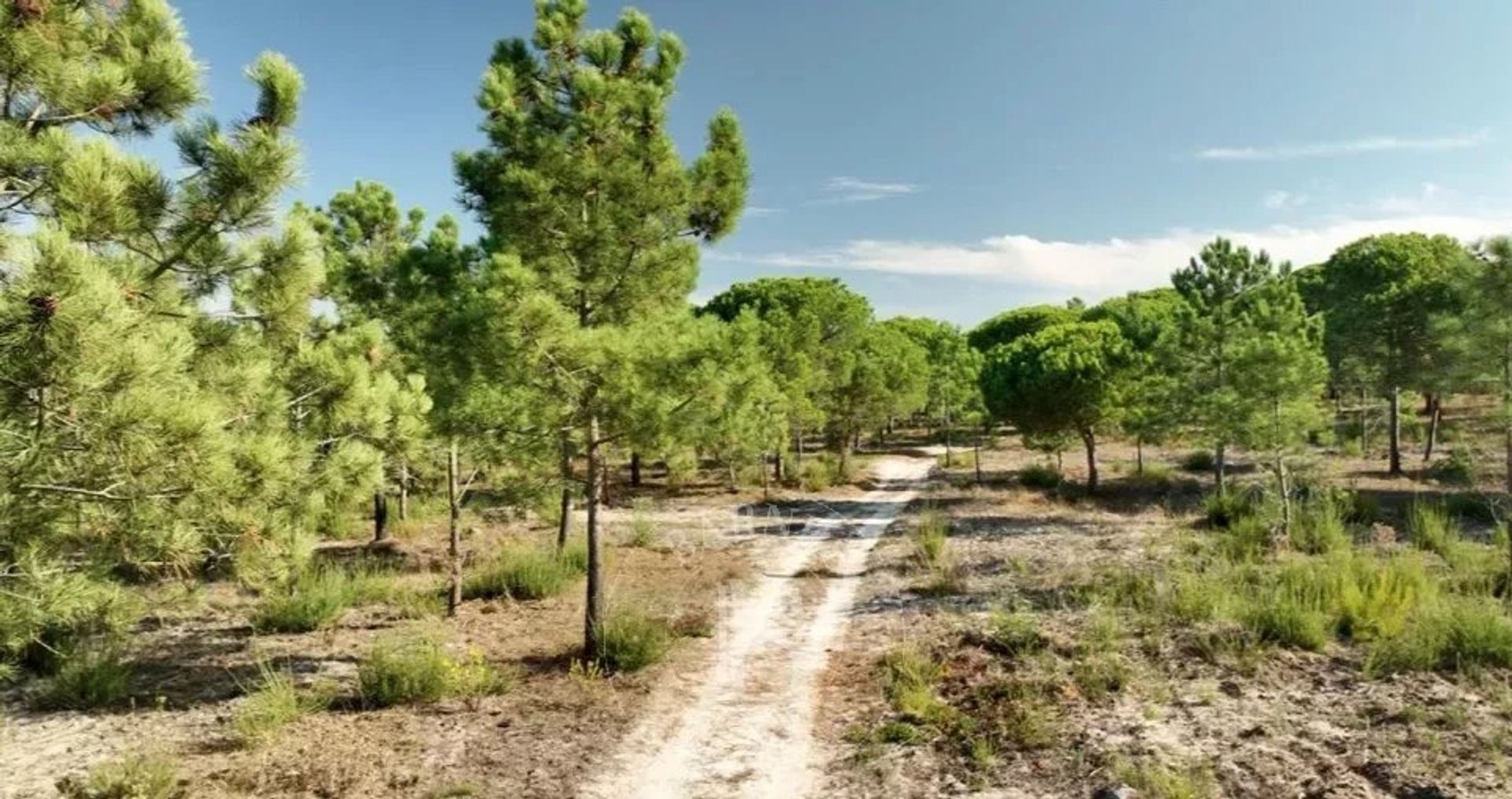 casa en torroes, Setúbal 12699892