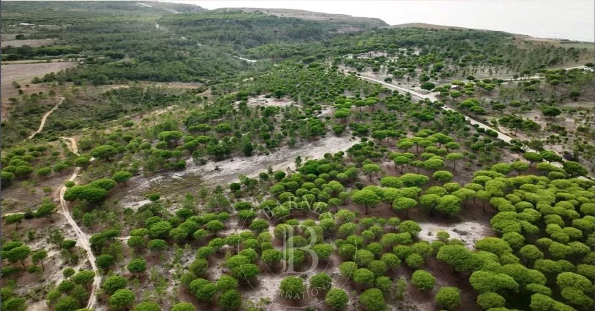 rumah dalam Torrões, Setubal 12699892