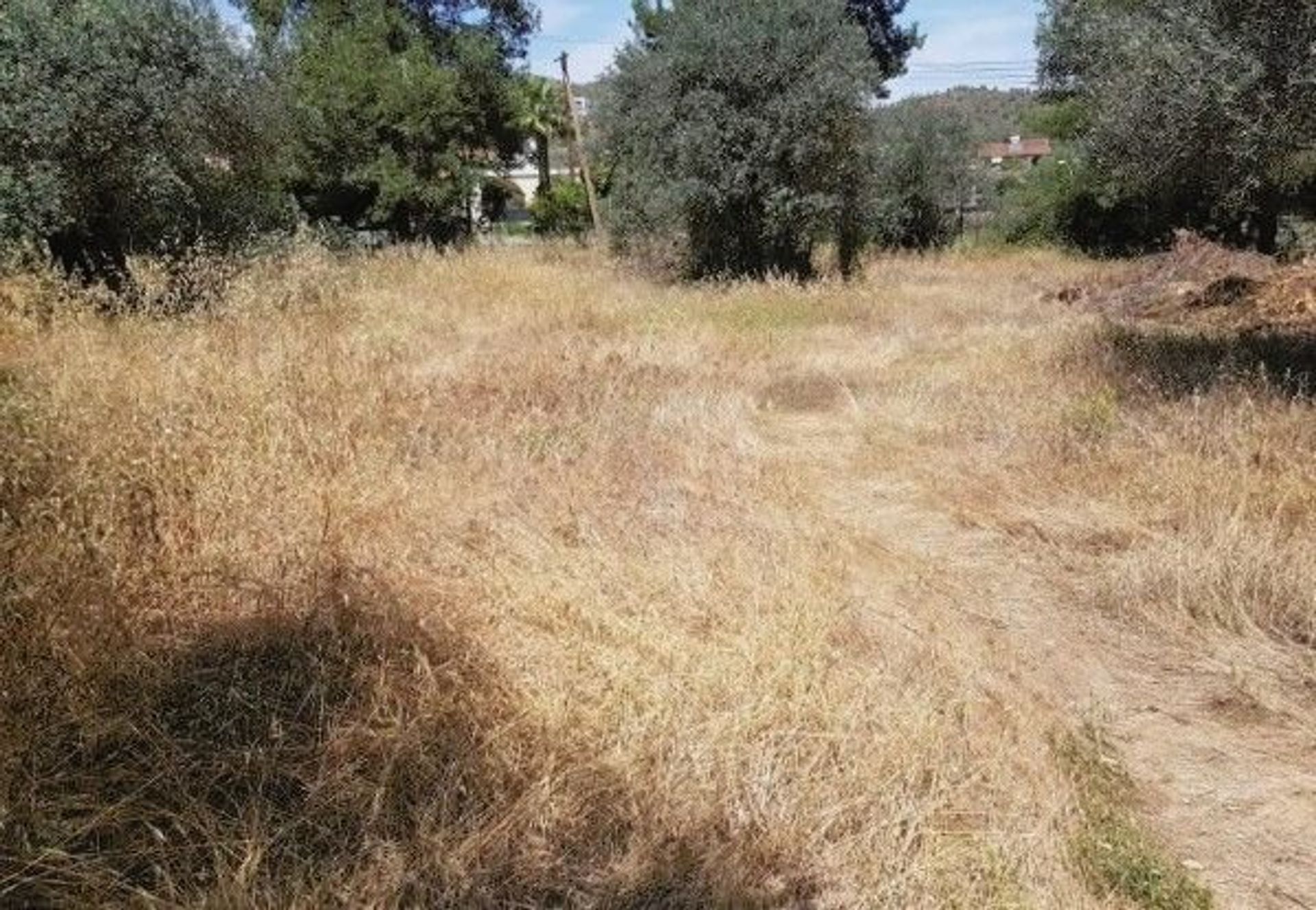 Land in Pera Chorio, Lefkosia 12706689