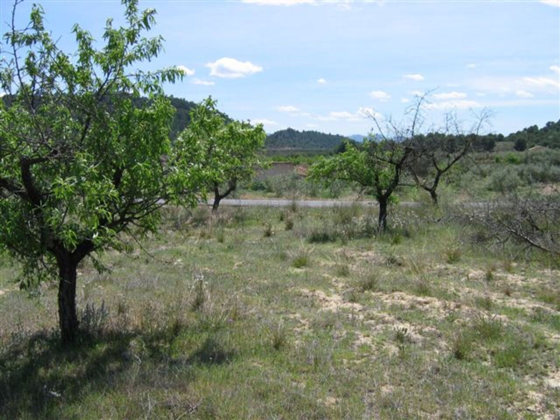 Huis in Murcia, Región de Murcia 12707136