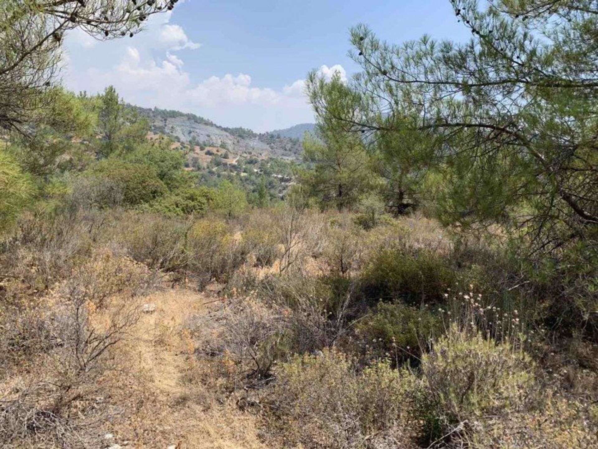 Terre dans Palodée, Lémésos 12708160