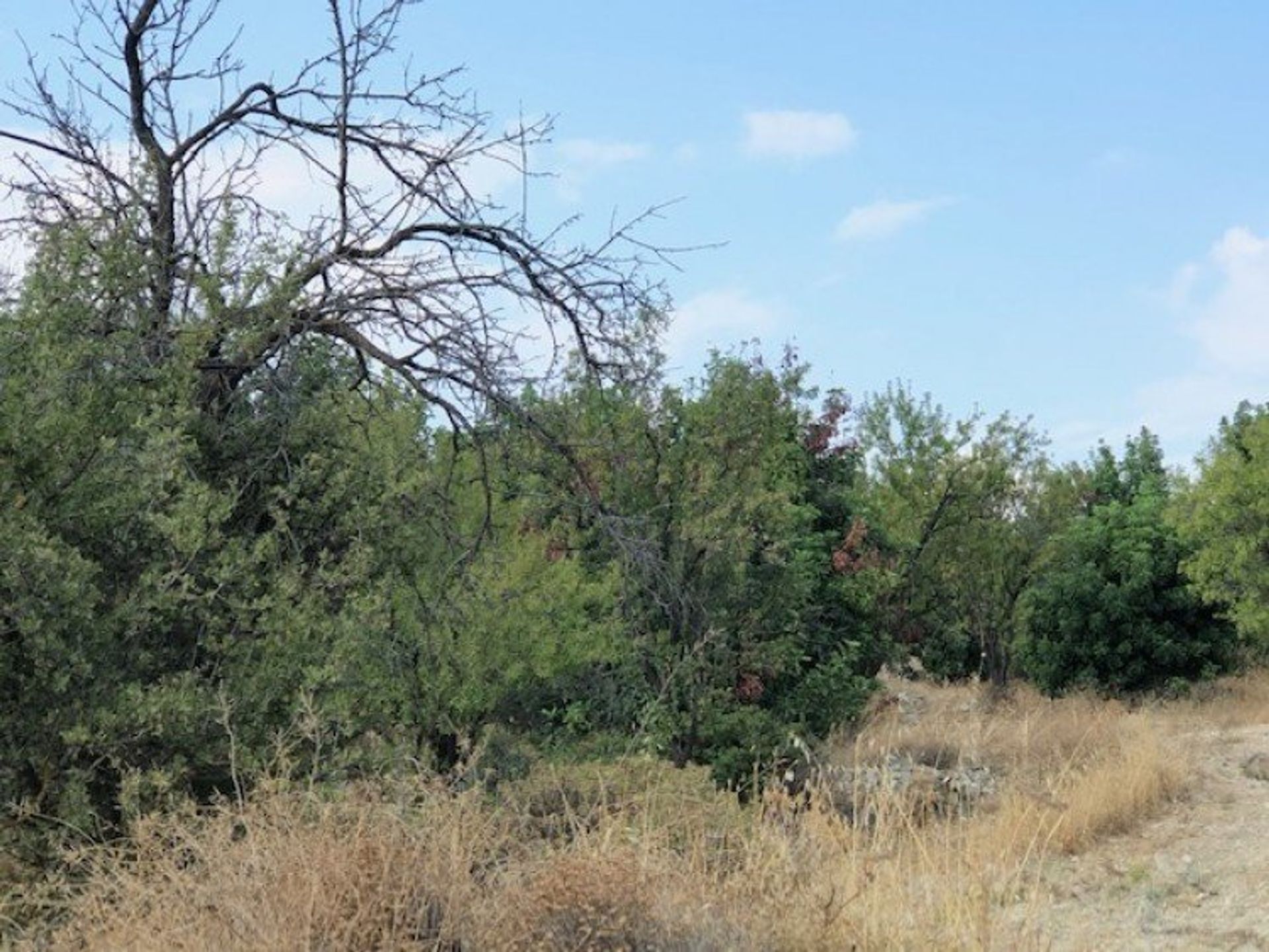 Land in Palodeia, Lemesos 12708198