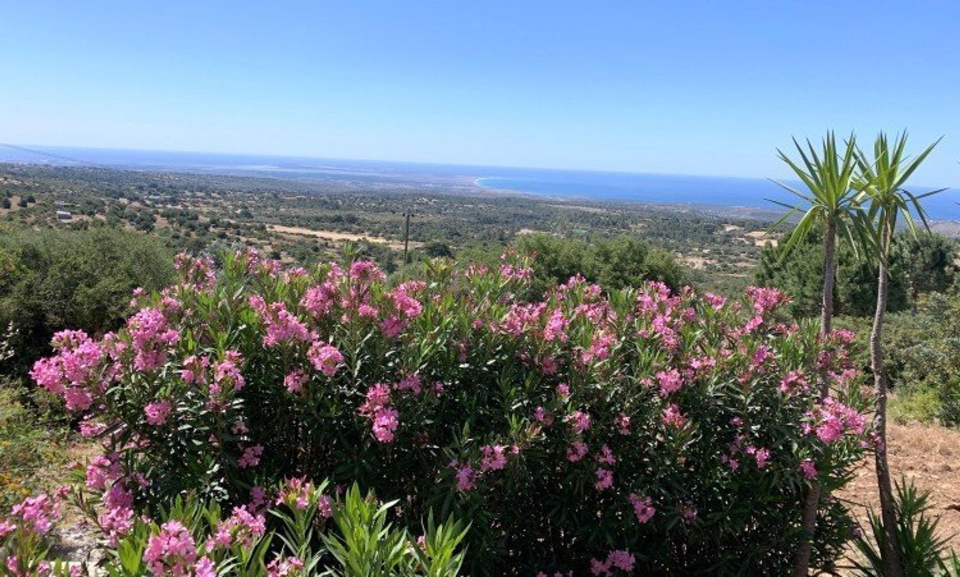 rumah dalam Pano Kivides, Limassol 12708251