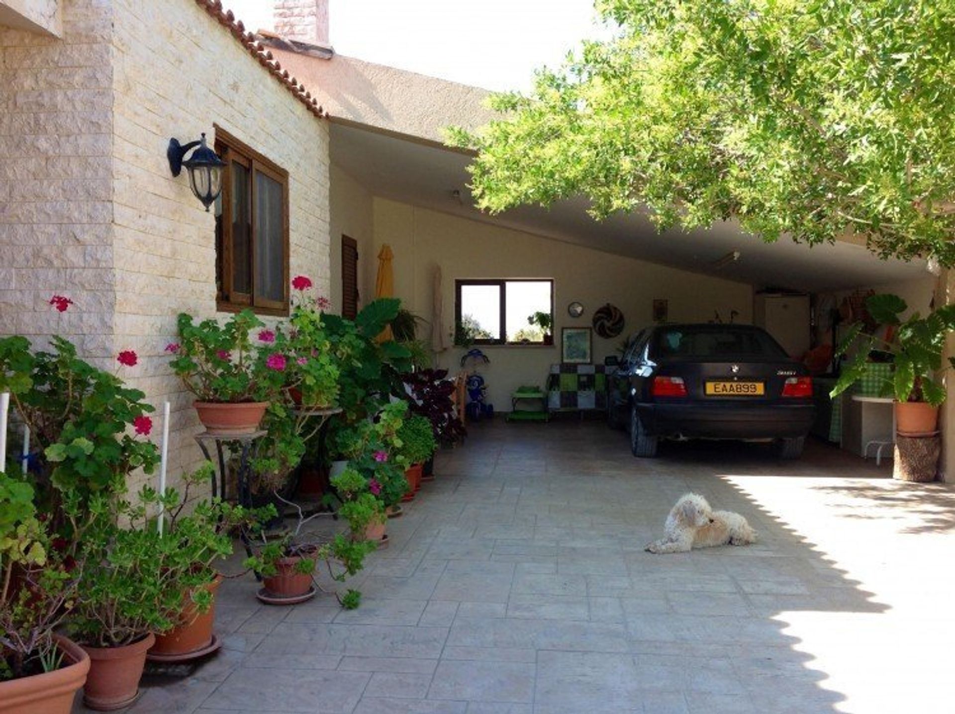 rumah dalam Pano Kivides, Limassol 12708251