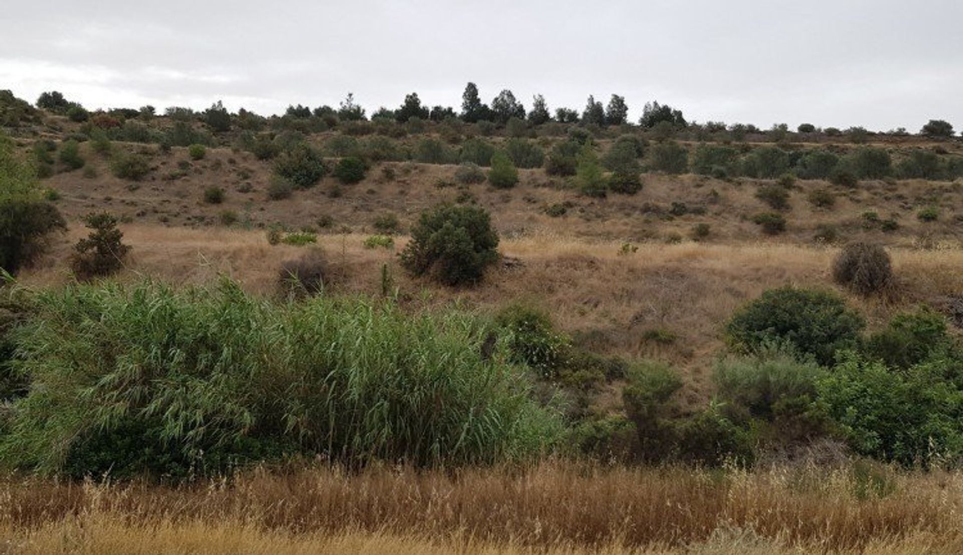 Tierra en Parekklisia, Lárnaca 12708308