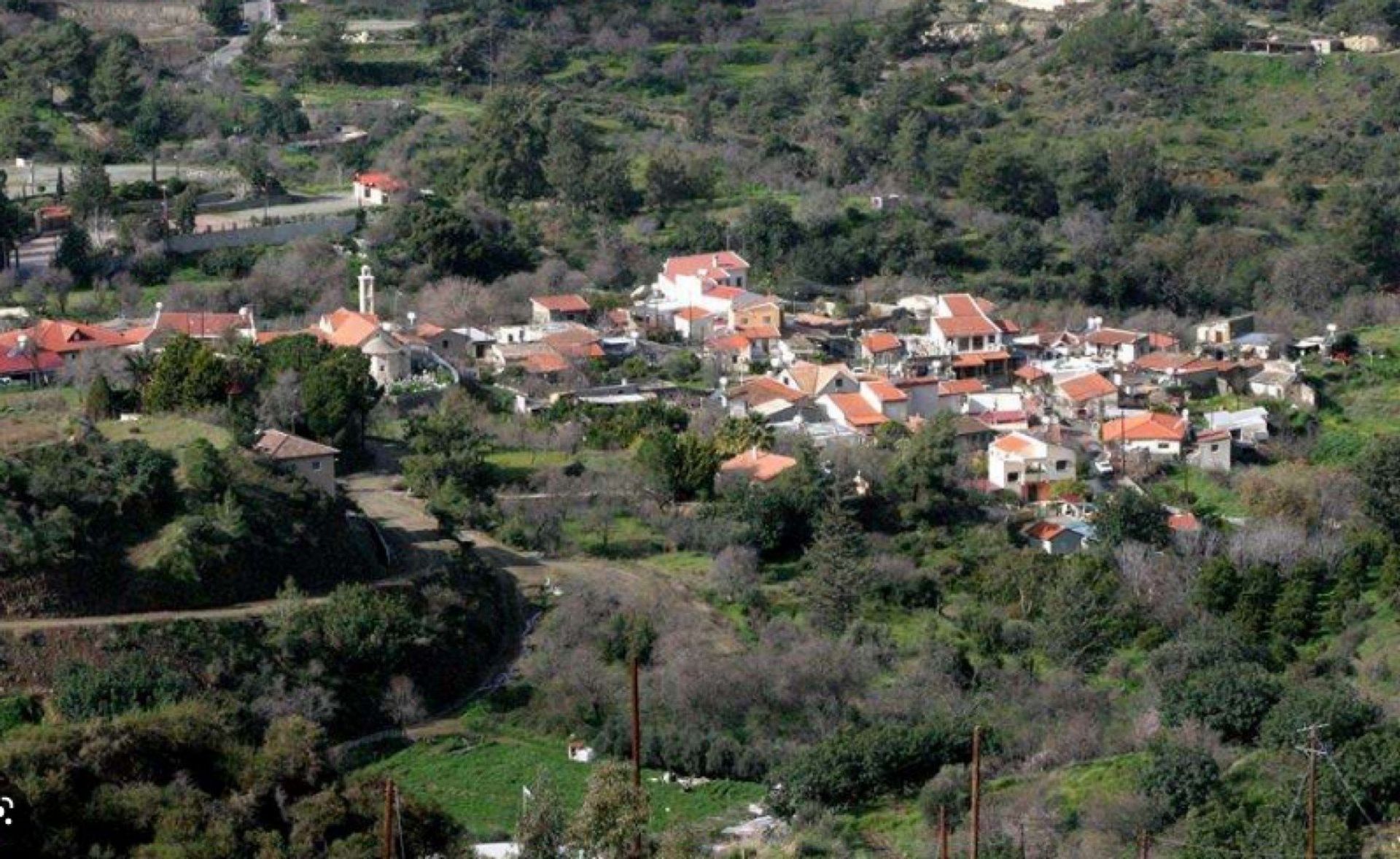 Tierra en pampula, lemesos 12708317