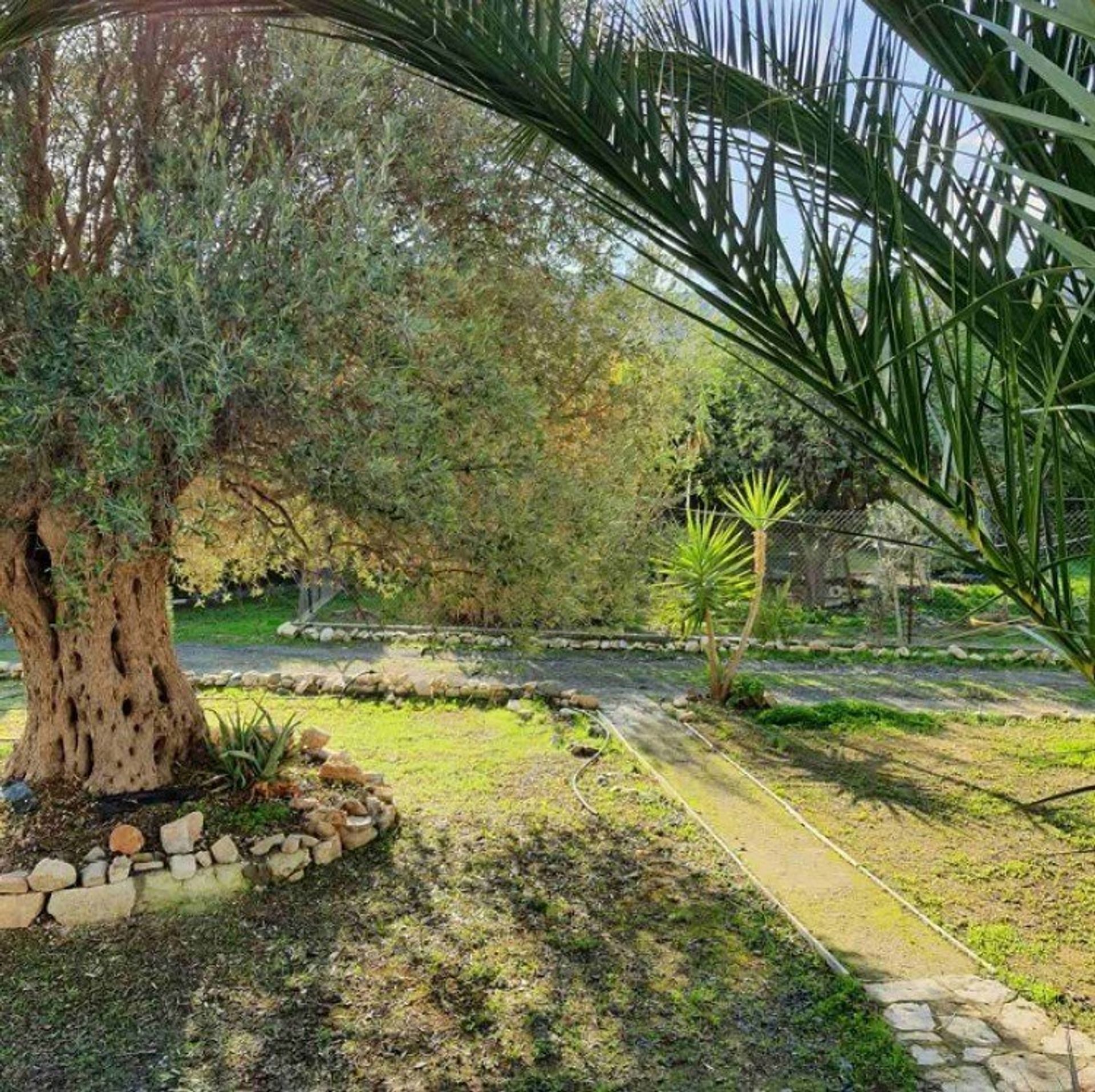 Rumah di Paramytha, Limassol 12708521