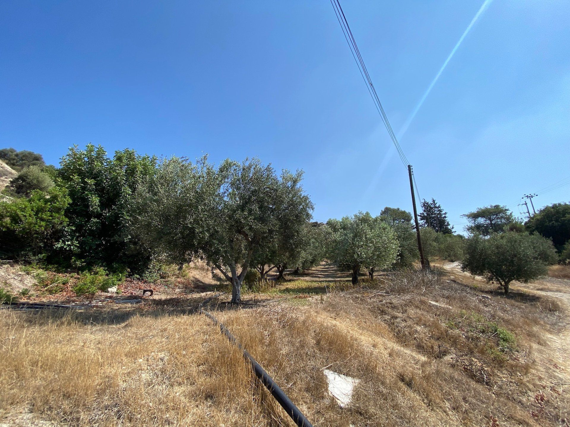 Tierra en Pissouri, Limassol 12709001