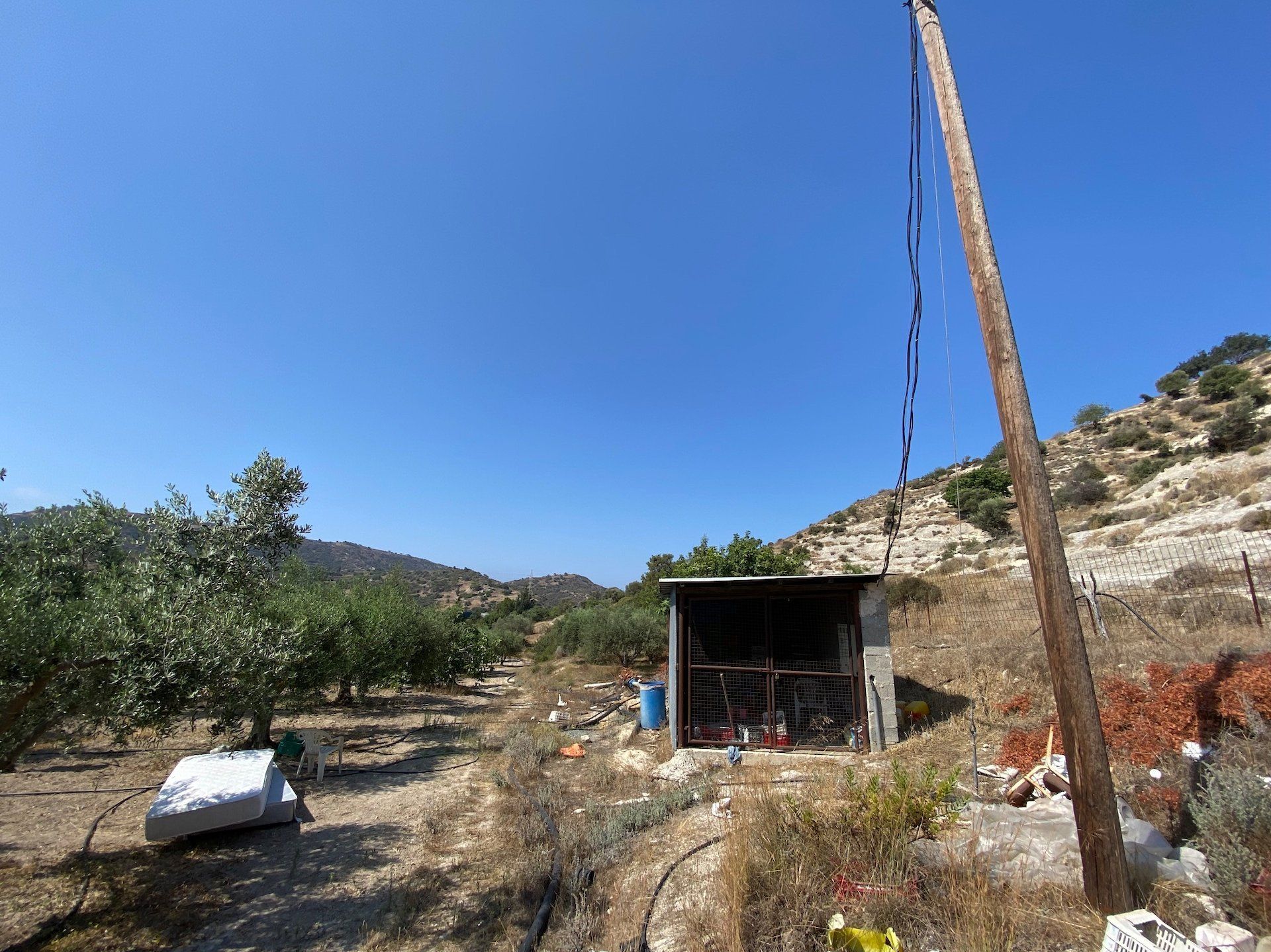 Tierra en pampula, lemesos 12709001