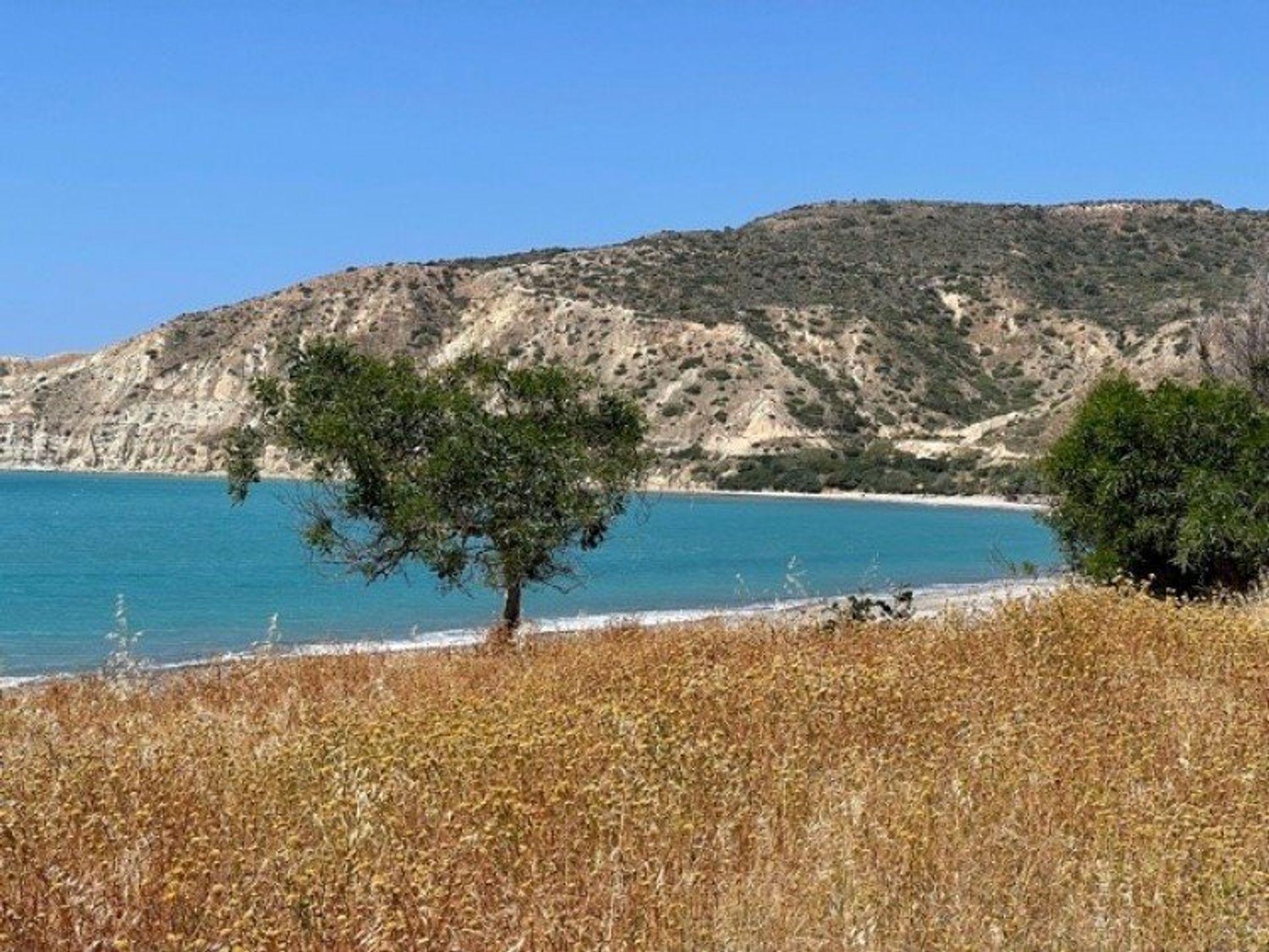 Land im Pissouri, Limassol 12709133