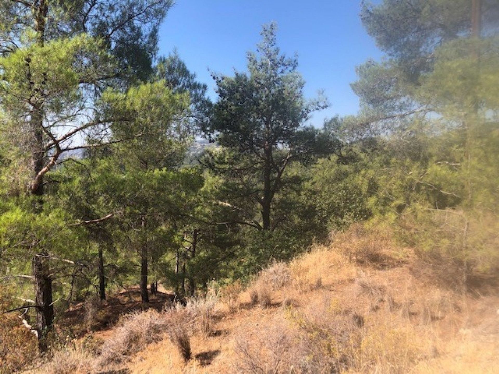 Land in Soularavia, Lemesos 12709222