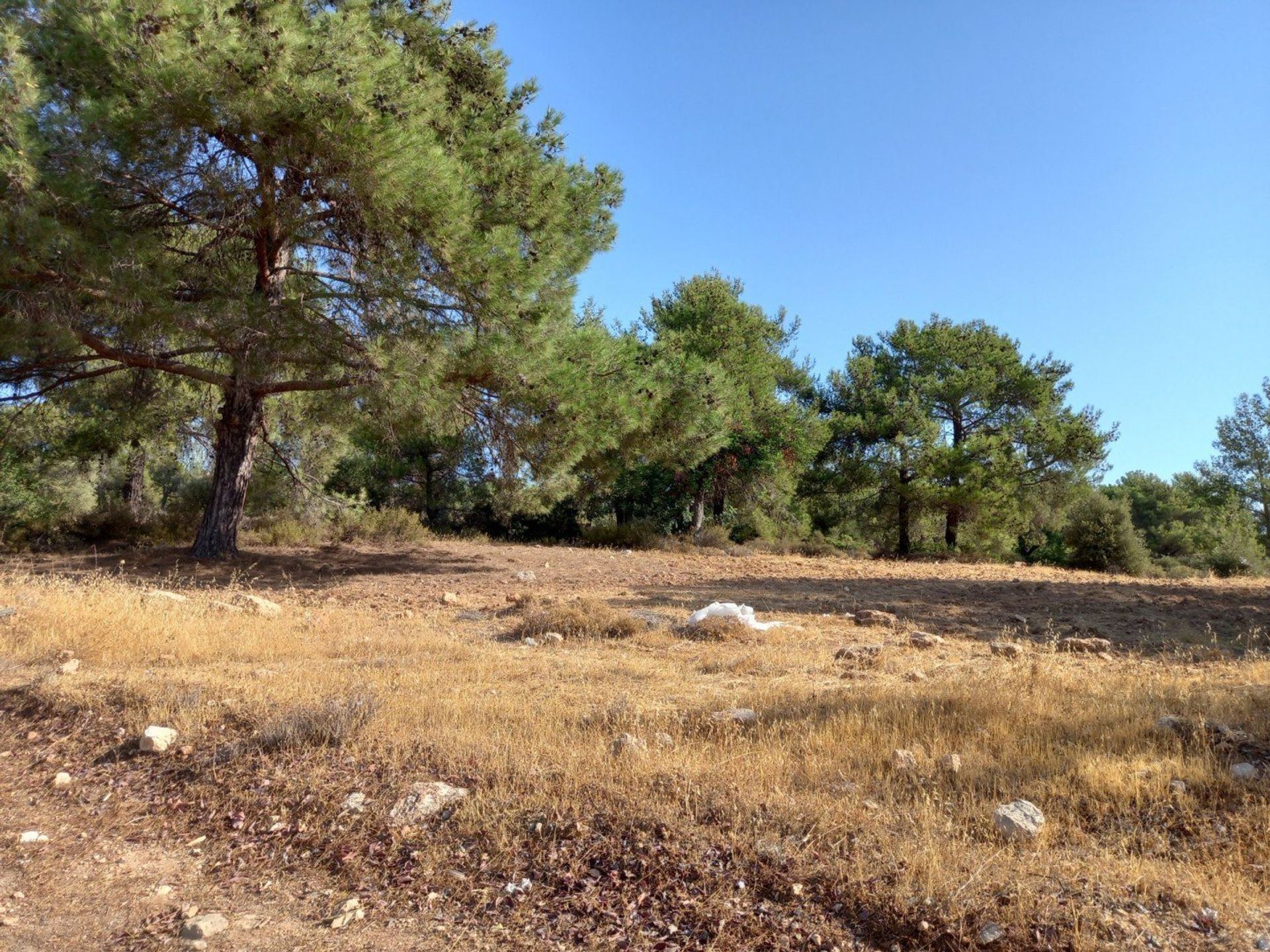 Land in Soularavia, Lemesos 12709246