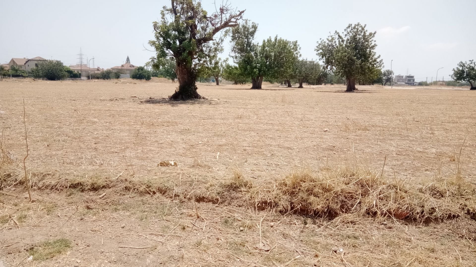 Terre dans Kato Polémidia, Lémésos 12709260