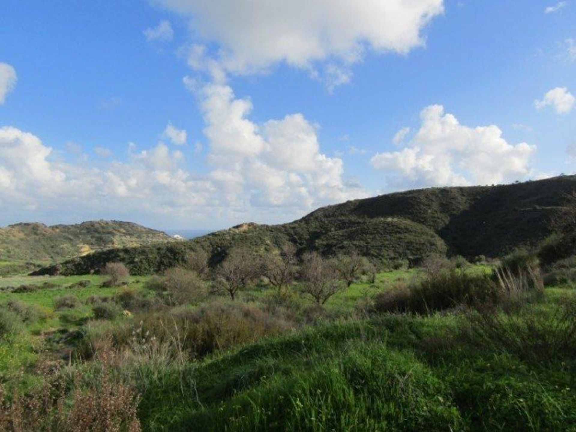 Tierra en pampula, lemesos 12710328