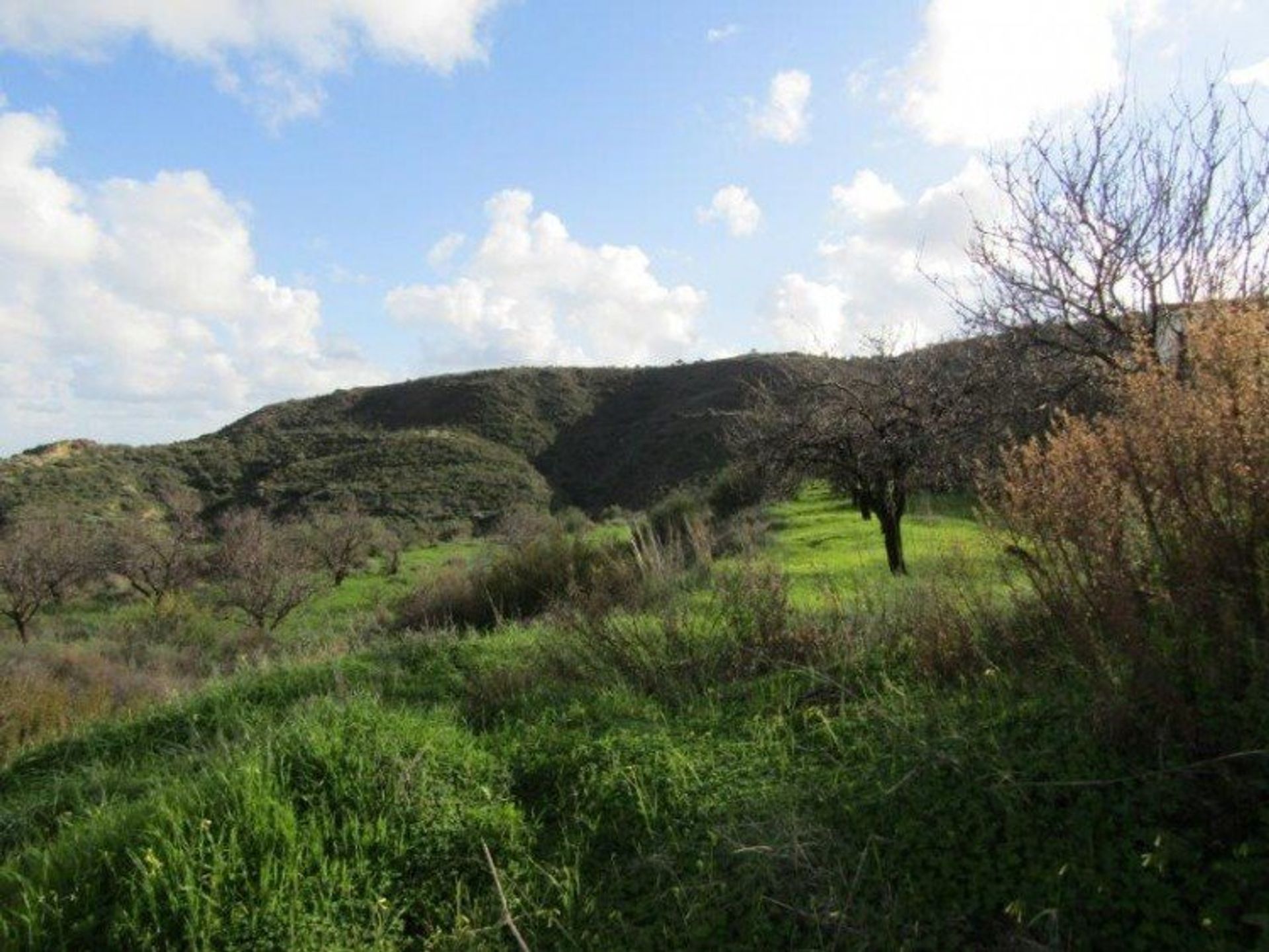 Tierra en pampula, lemesos 12710328