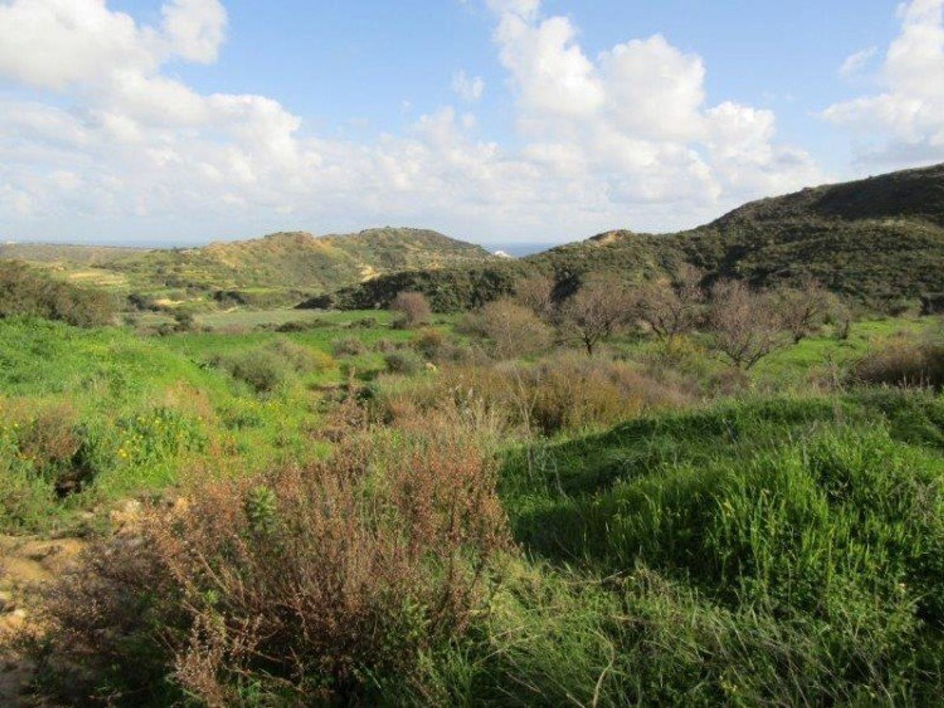 Tierra en pampula, lemesos 12710328