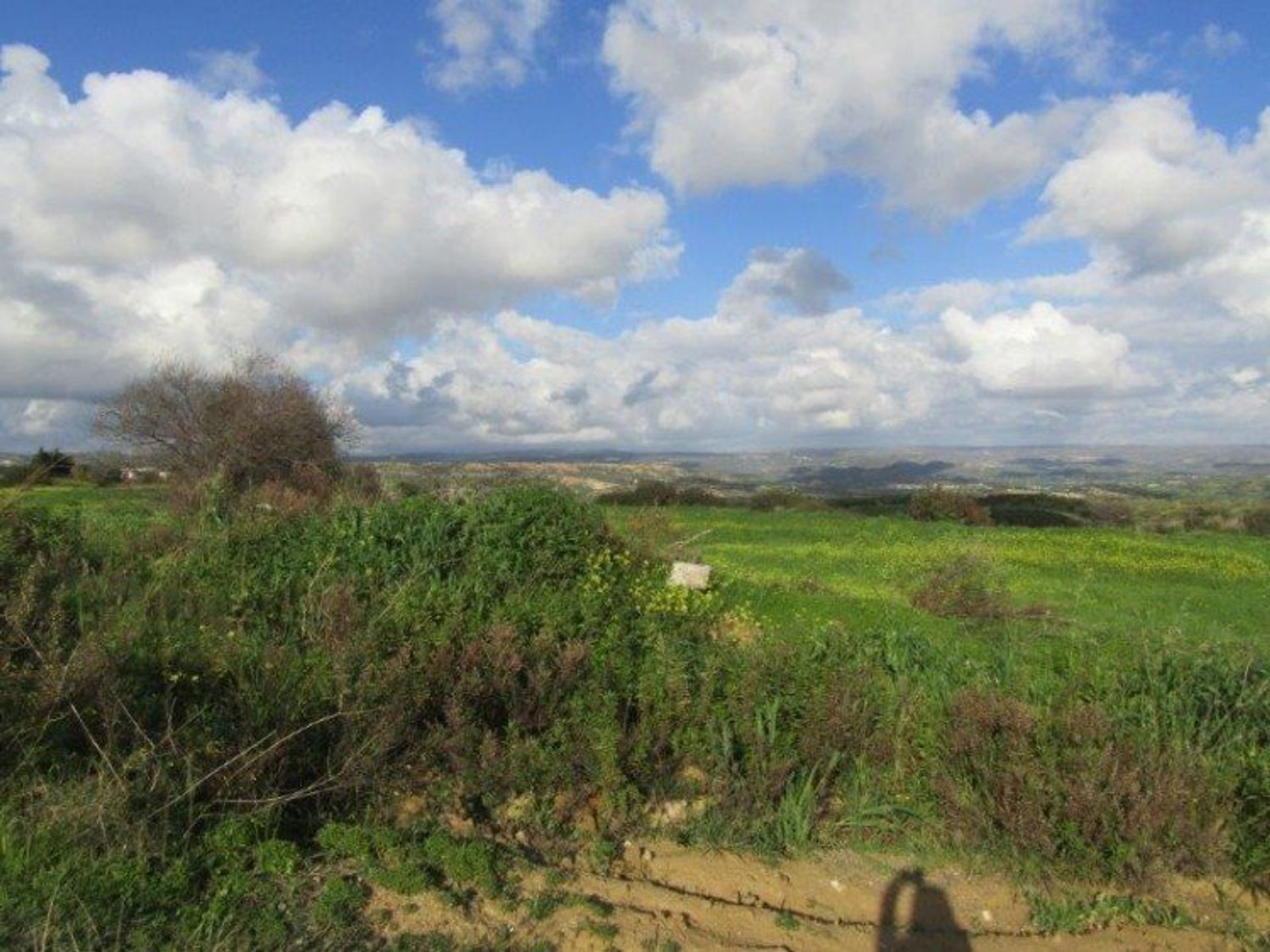 Tierra en pampula, lemesos 12710328