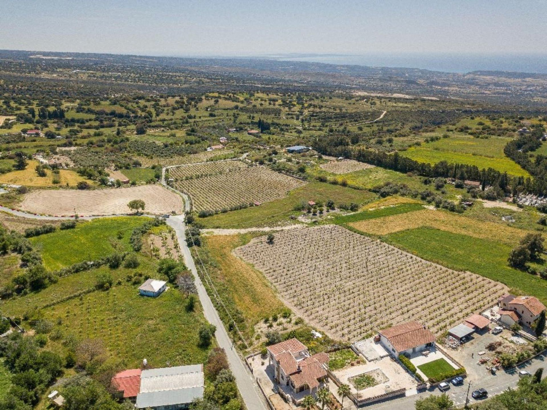 Tierra en pampula, lemesos 12710943