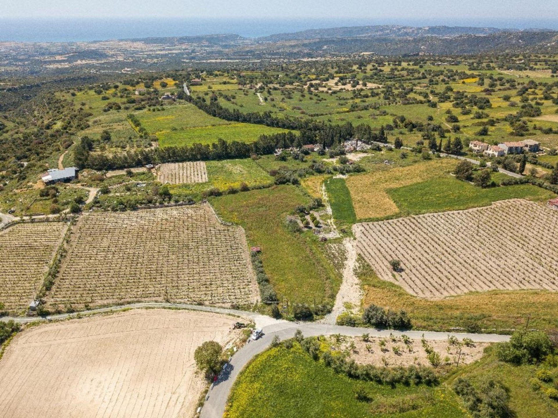 Tierra en pampula, lemesos 12710943