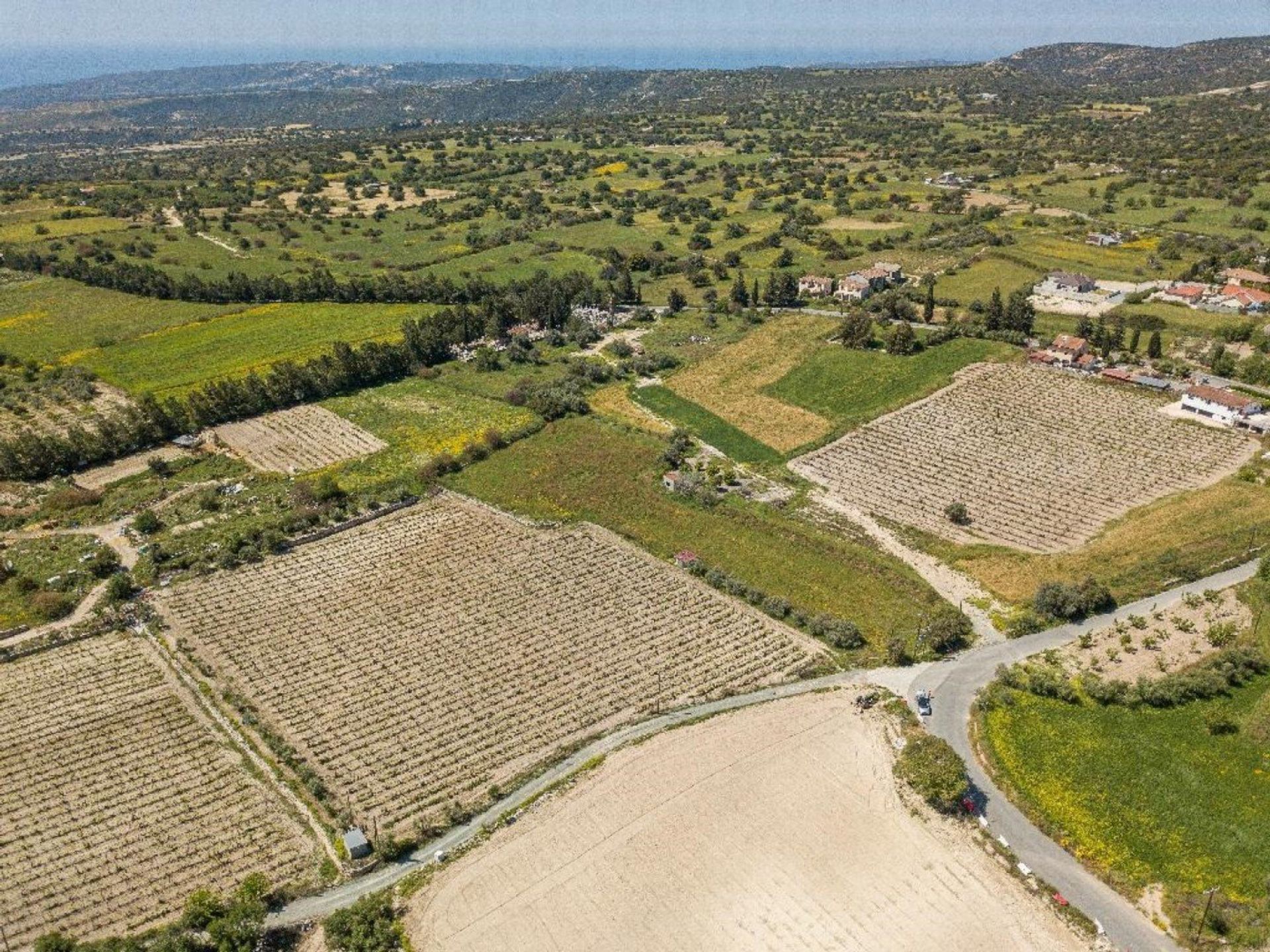 Tierra en pampula, lemesos 12710943