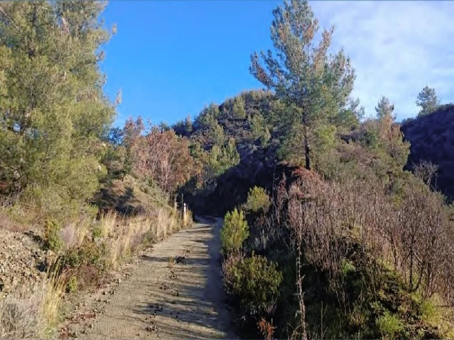 Земельные участки в Суларавия, Лемесос 12711556