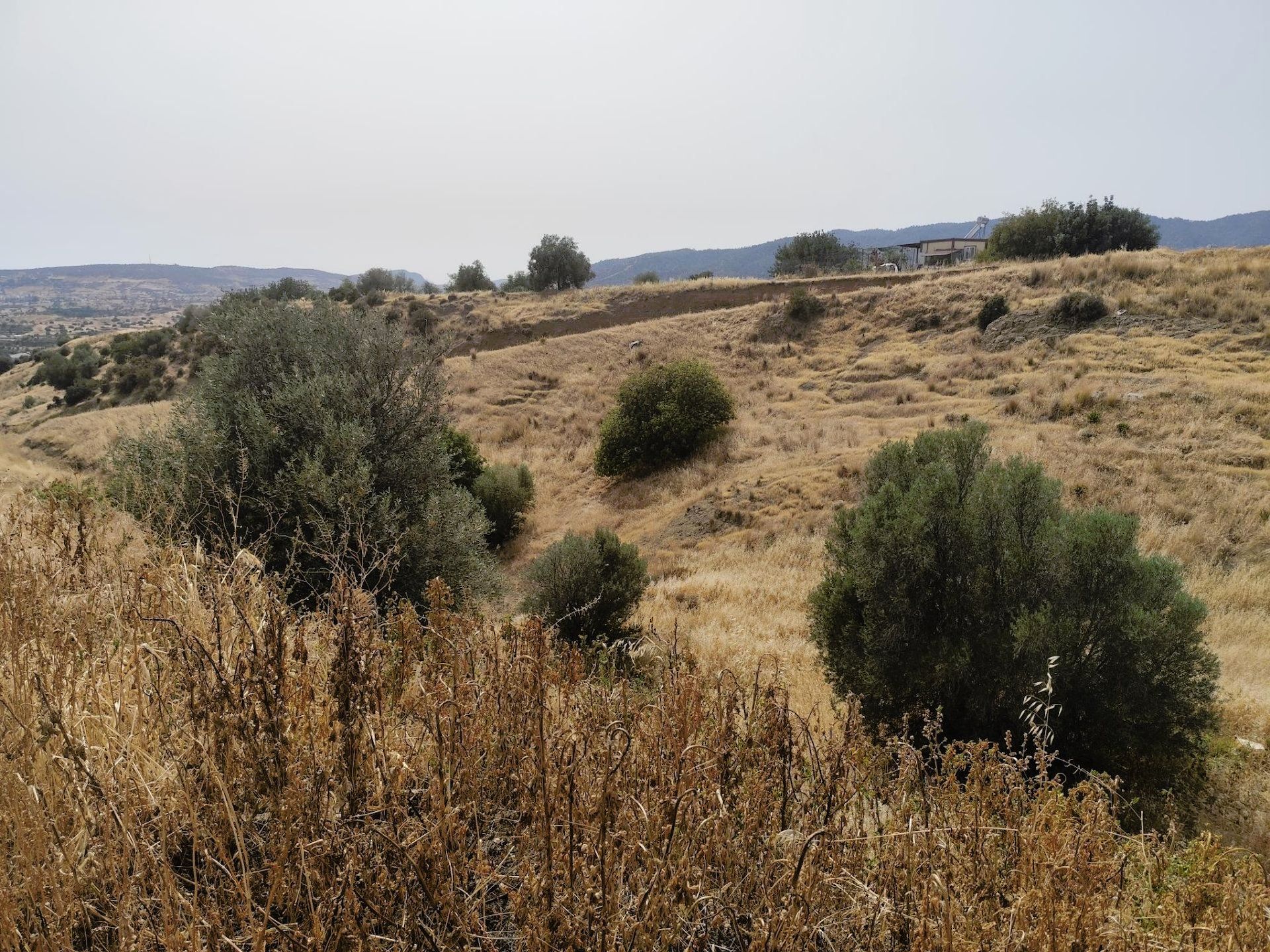 Land i Παρεκλησιά, Limasol 12711600