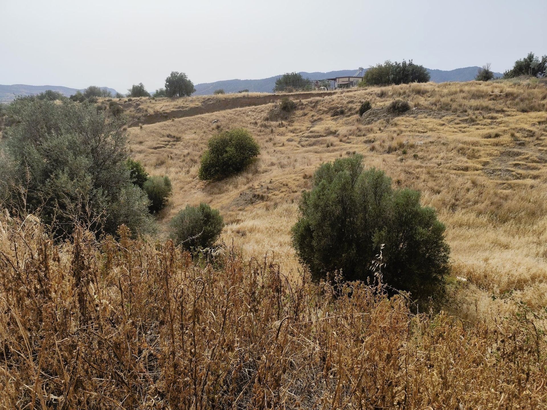 Land i Παρεκλησιά, Limasol 12711600