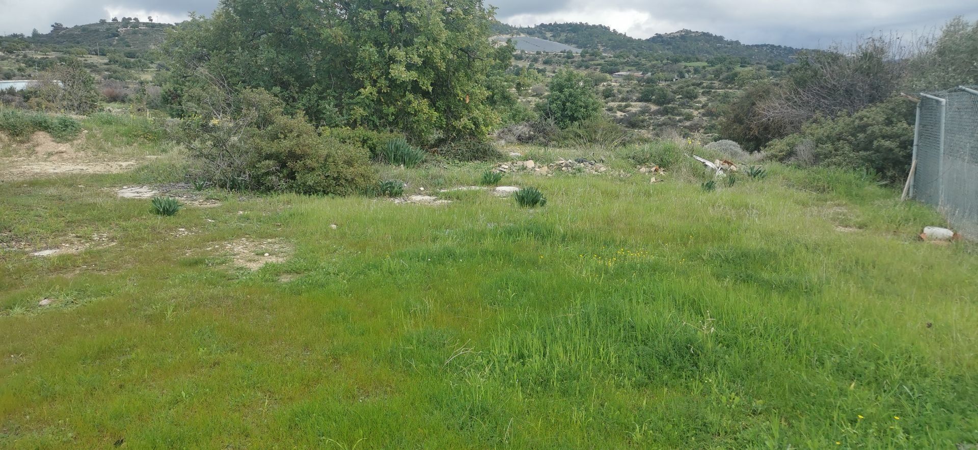 Land i Agridia,  12711614